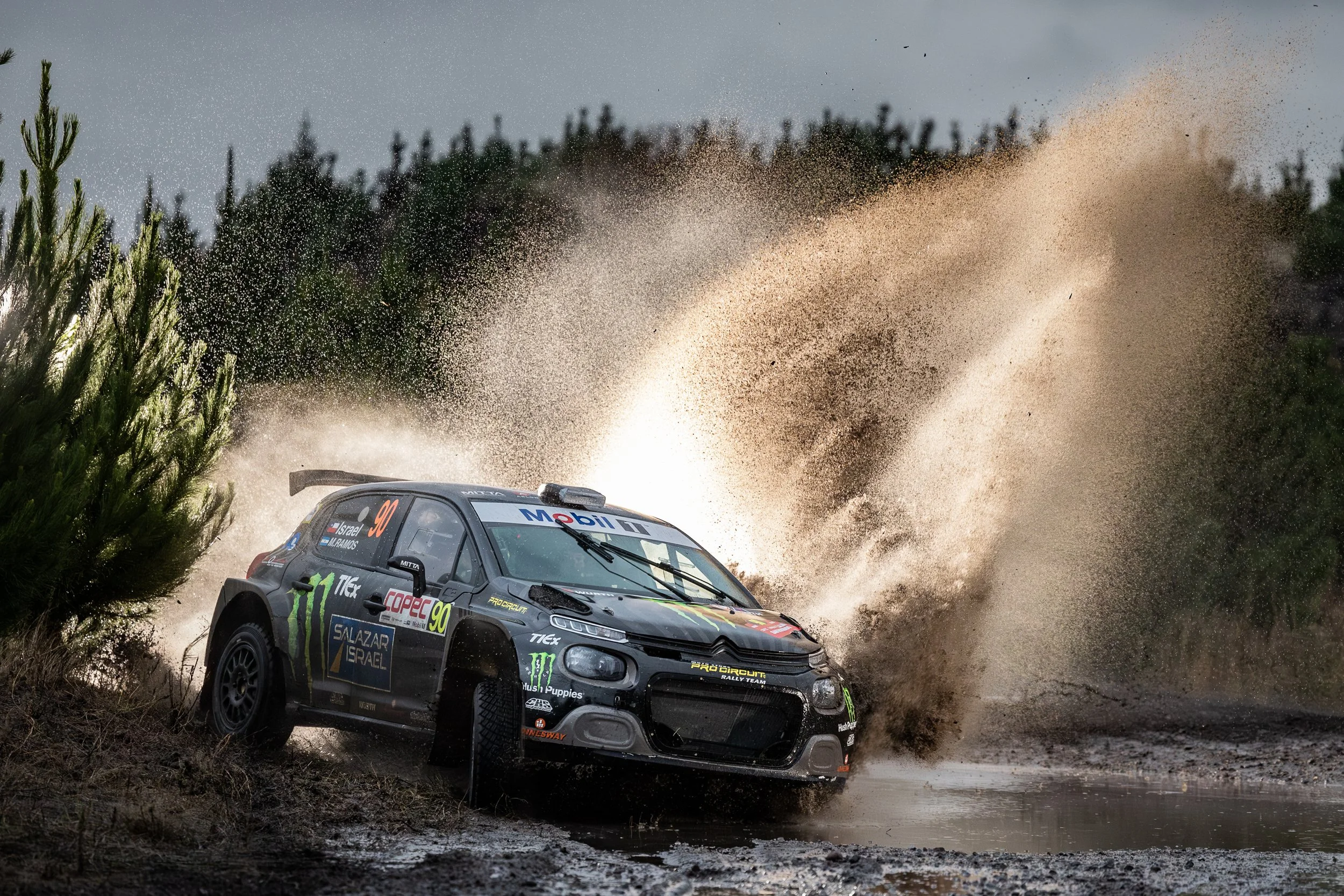 Copec I RallyMobil ™ - Laja -San Rosendo -© Luis Barra---7.jpg