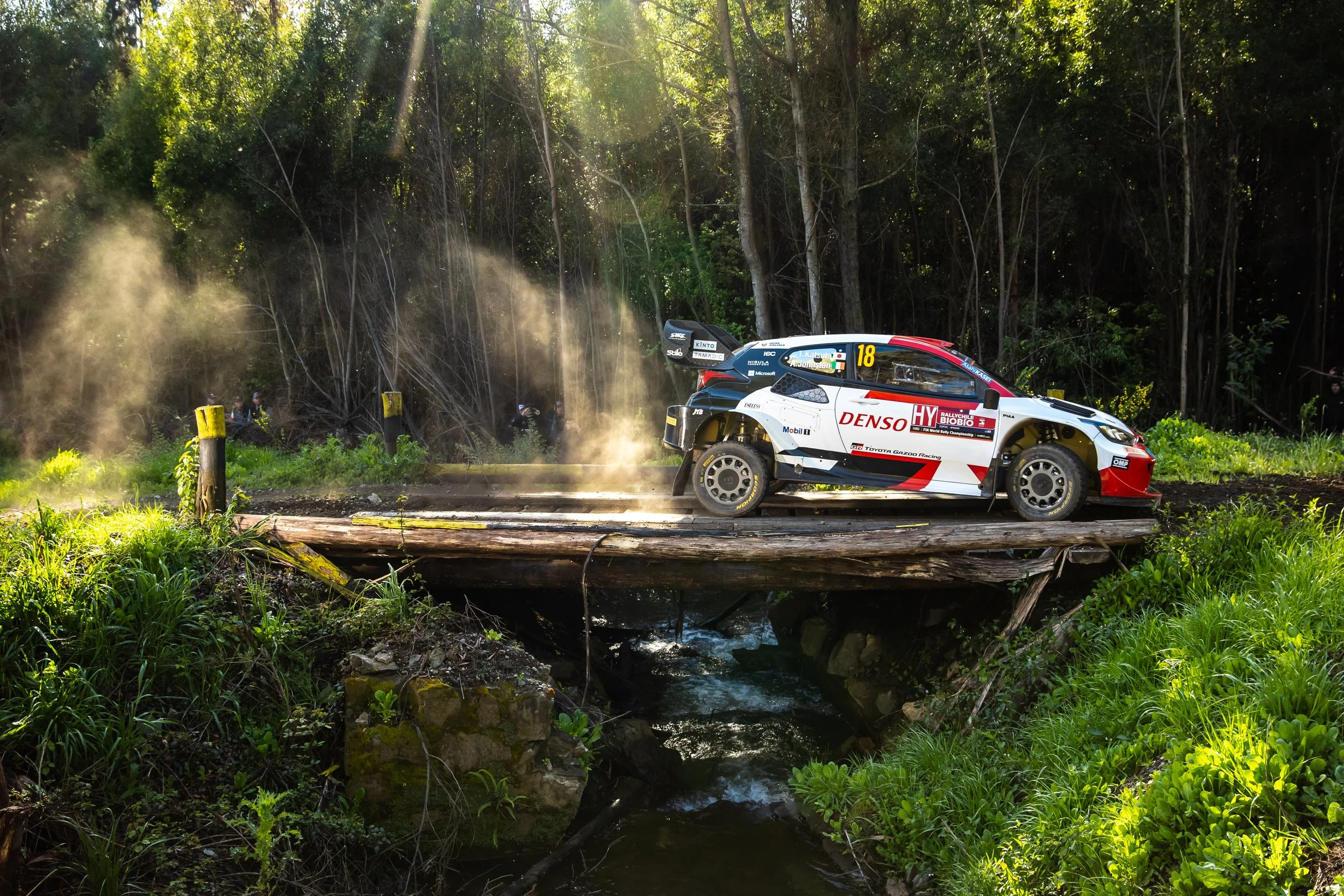 WRC_Rally_Chile_Biobío - ©Luis_Barra_LB1_9687.jpg
