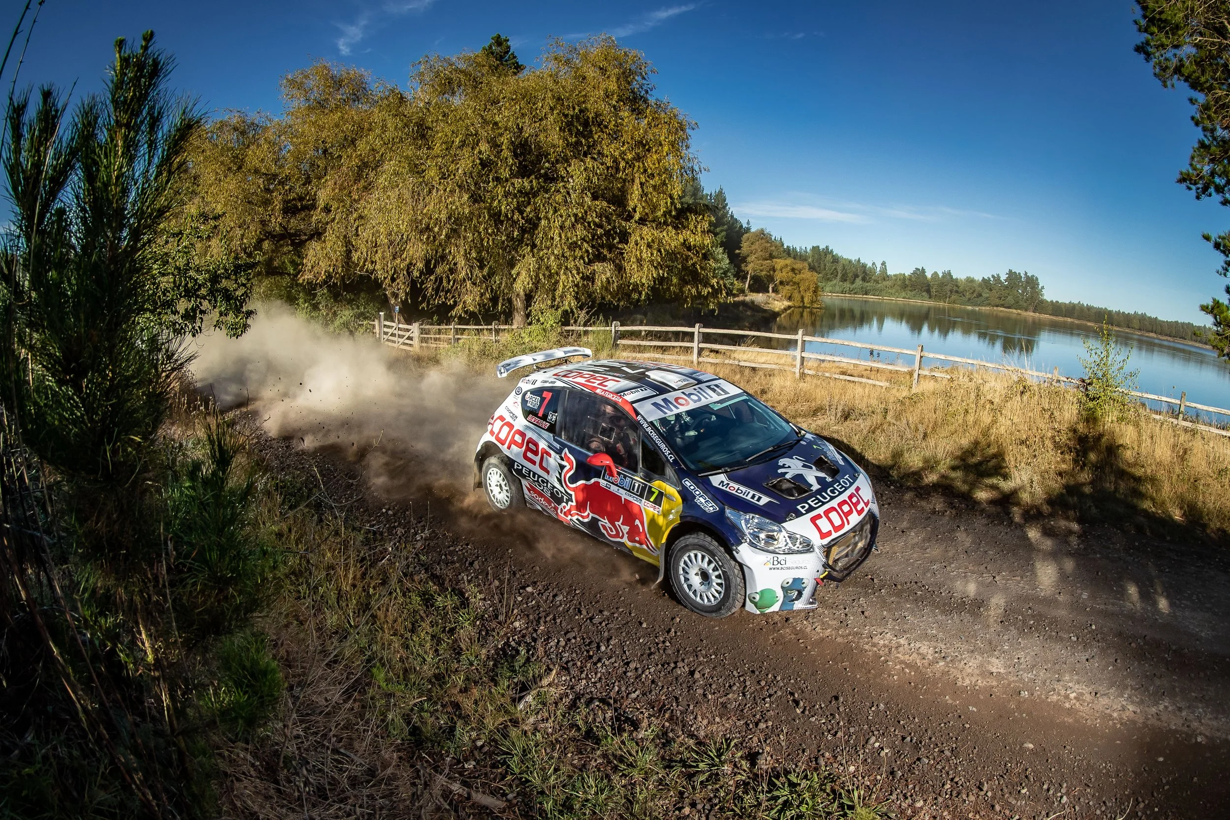 Rally Mobil, Los Ángeles - © Luis Barra-@barraphoto-28.jpg