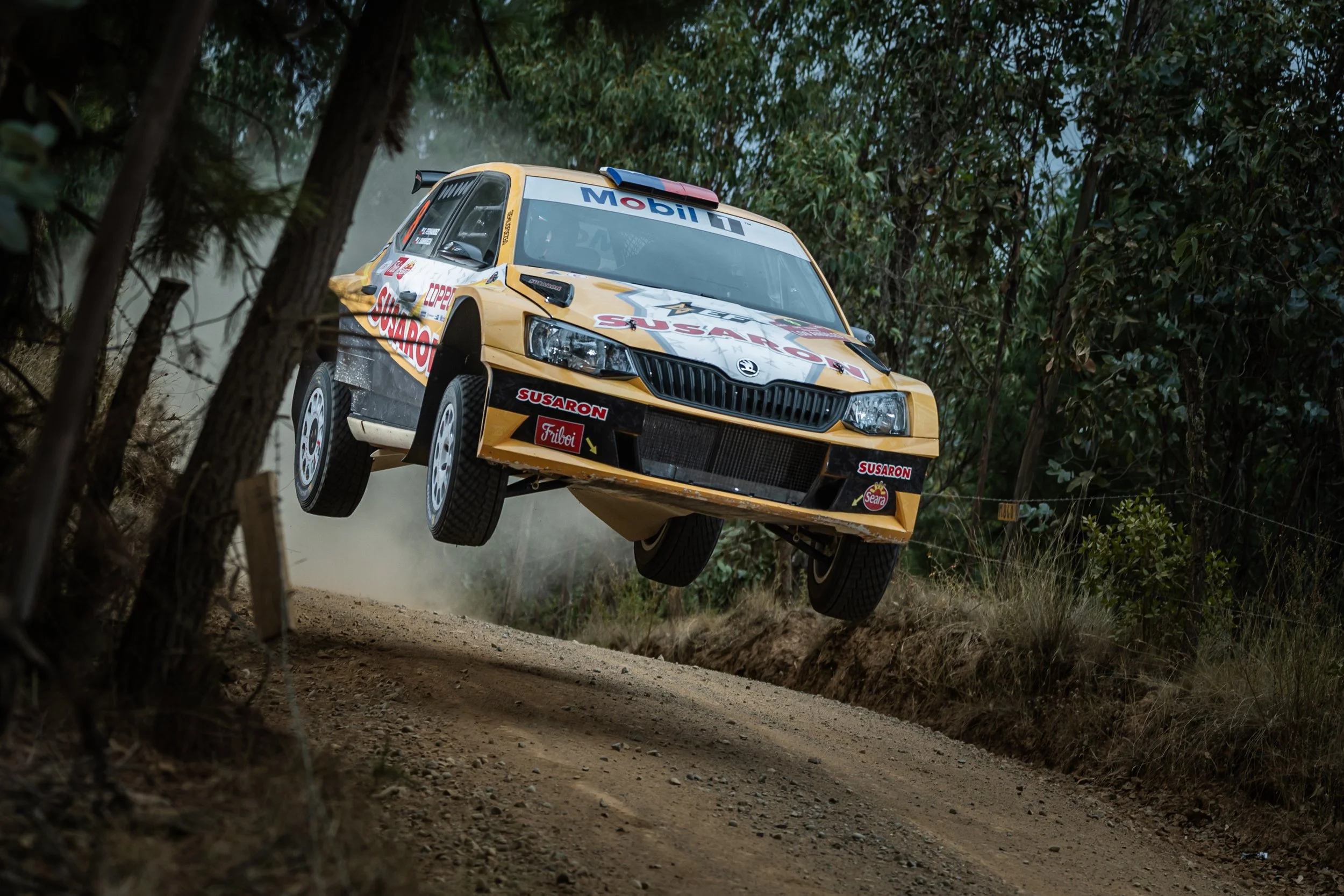 Copec I RallyMobil ™ - Los Ángeles-© Luis Barra--5605.jpg
