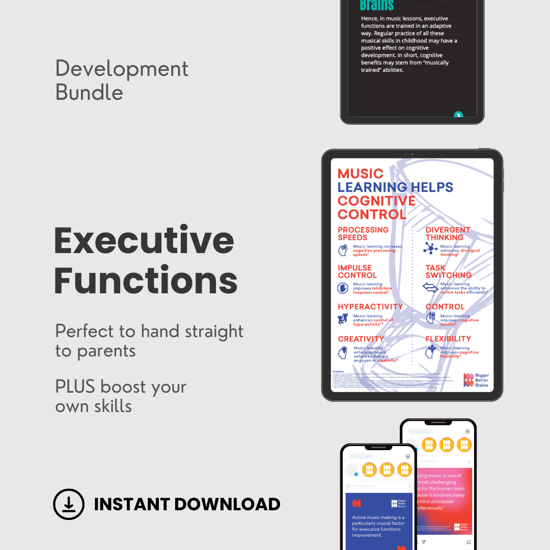 Executive Functions - Development Bundle (High School)