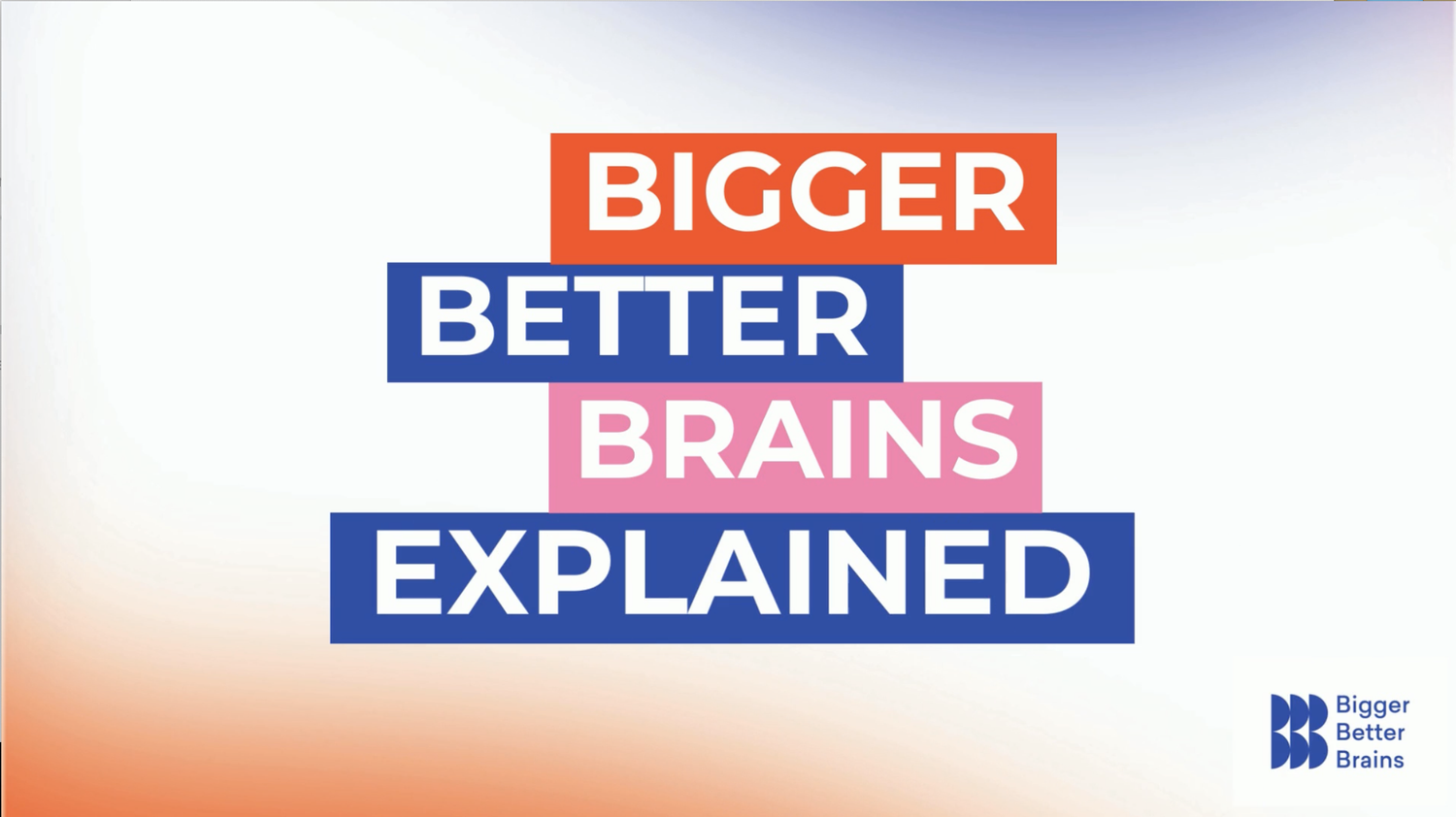 Cognitive Flexibility - BBBX — Bigger Better Brains