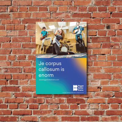 Dutch - Early Childhood (2).png