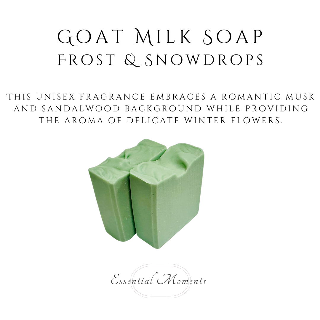 Frost & Snowdrops.png