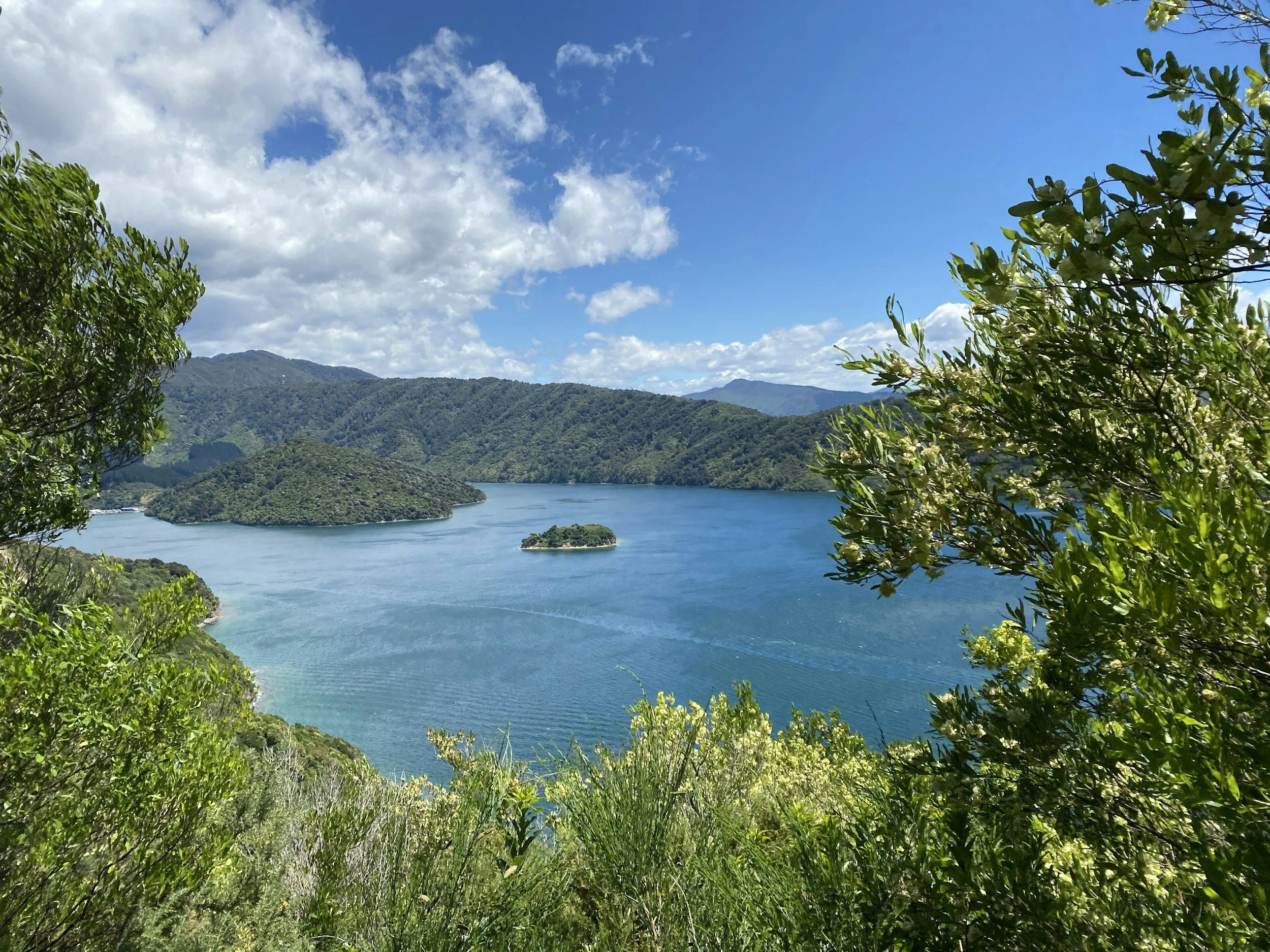 Aerial view of Kenepuru Sound surrounded by native bush and rolling hills, showcasing the flight route to Portage Resort, Marlborough Sounds.