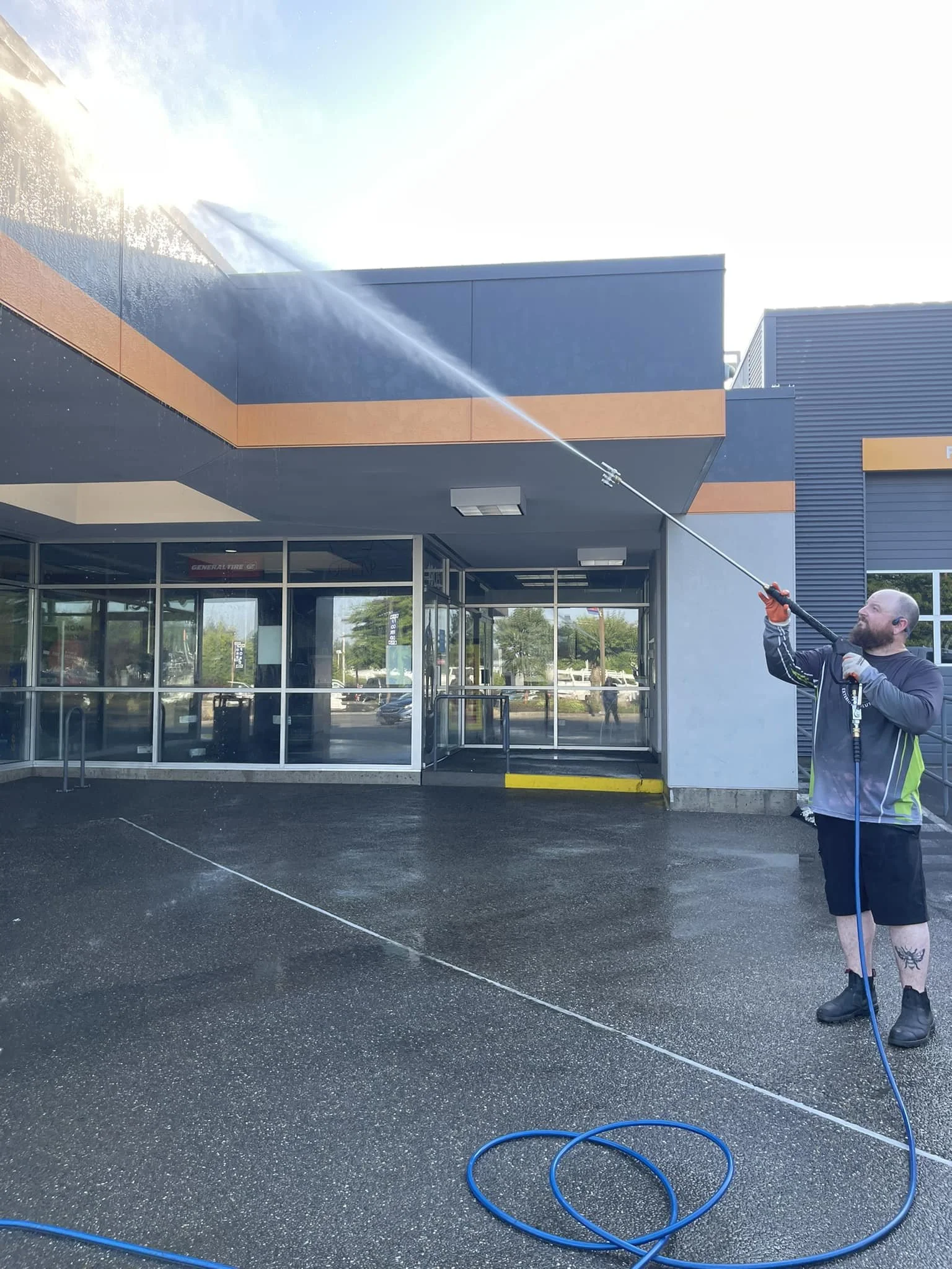 Pressure Washing Olympia, Moss Removal and Roof Cleaning