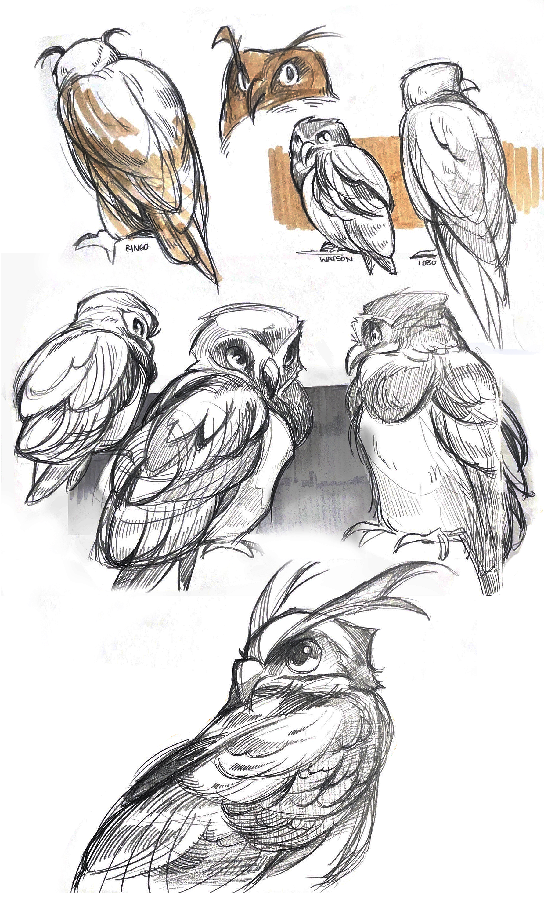 bird 2.png