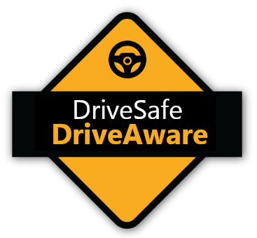 Drive Safe Supplement DriveSafe Diagnostics