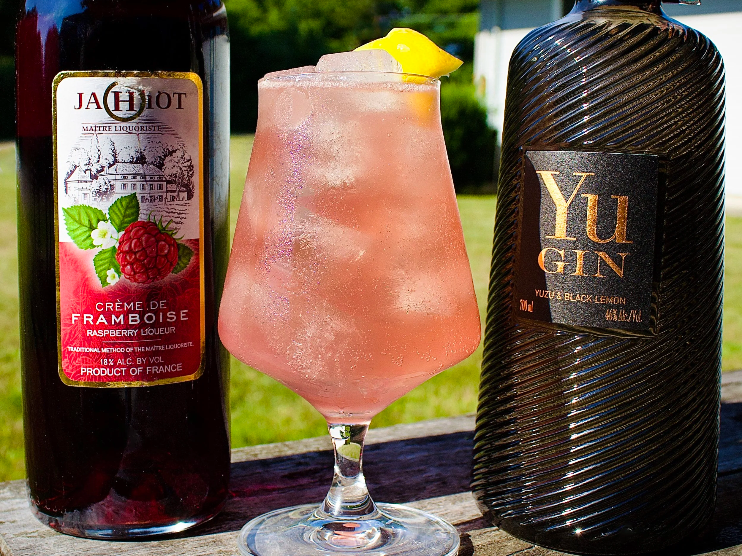 Raspberry Gin Fizz