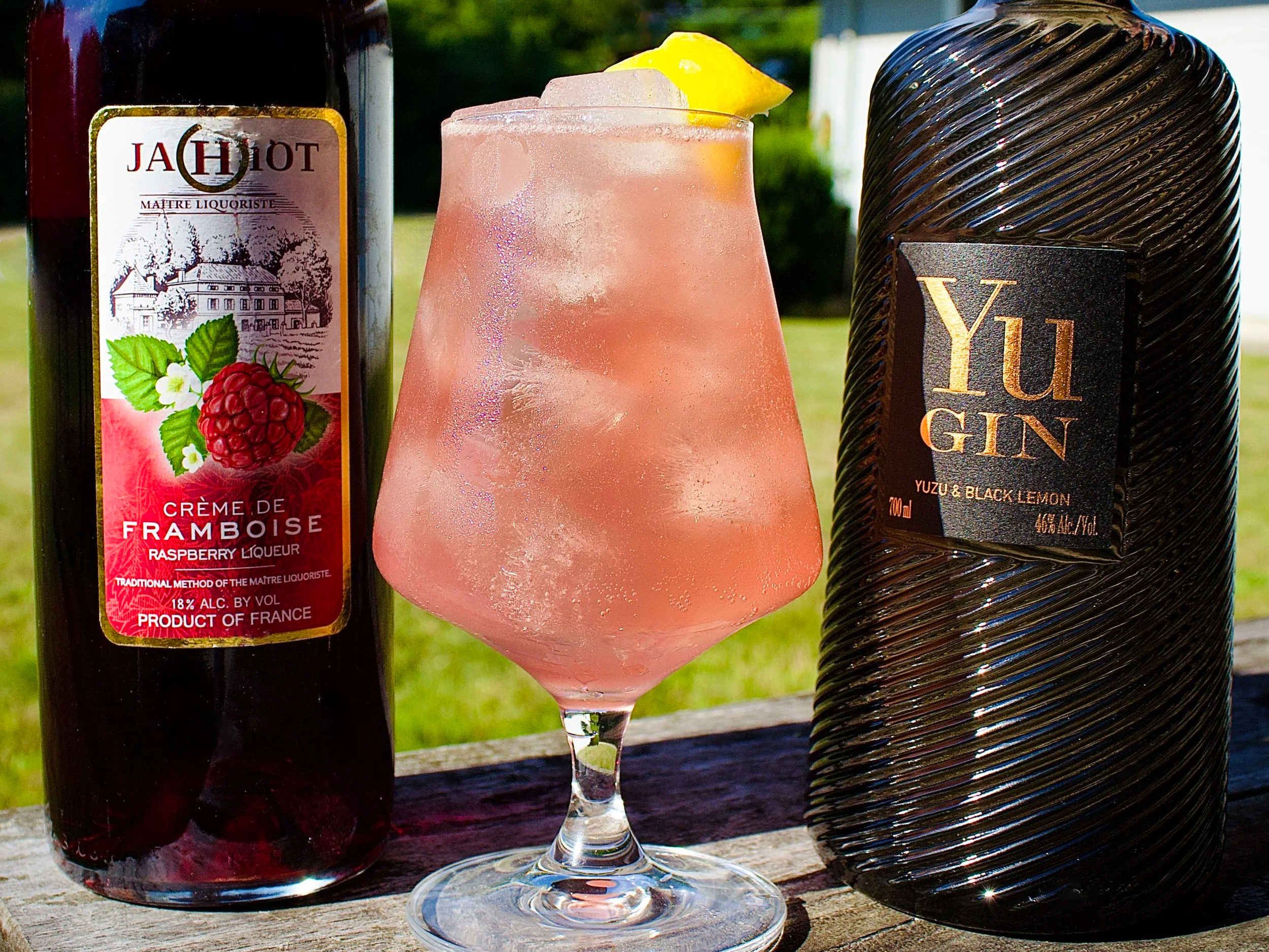 Raspberry Gin Fizz