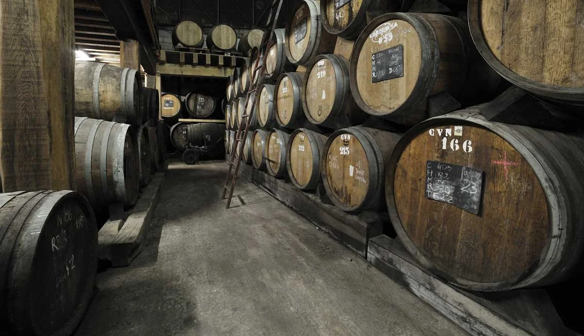 Cellar row between stacked wooden barrels of Calvados