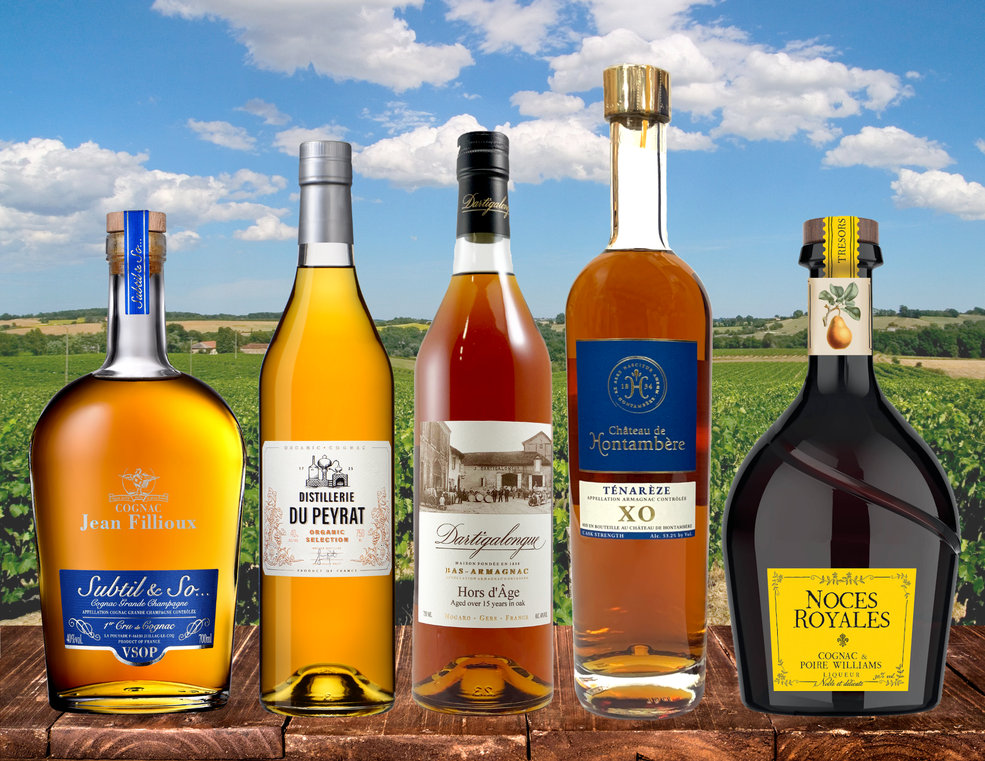 Brandy bottles on a wooden plank table in front of a vineyard background