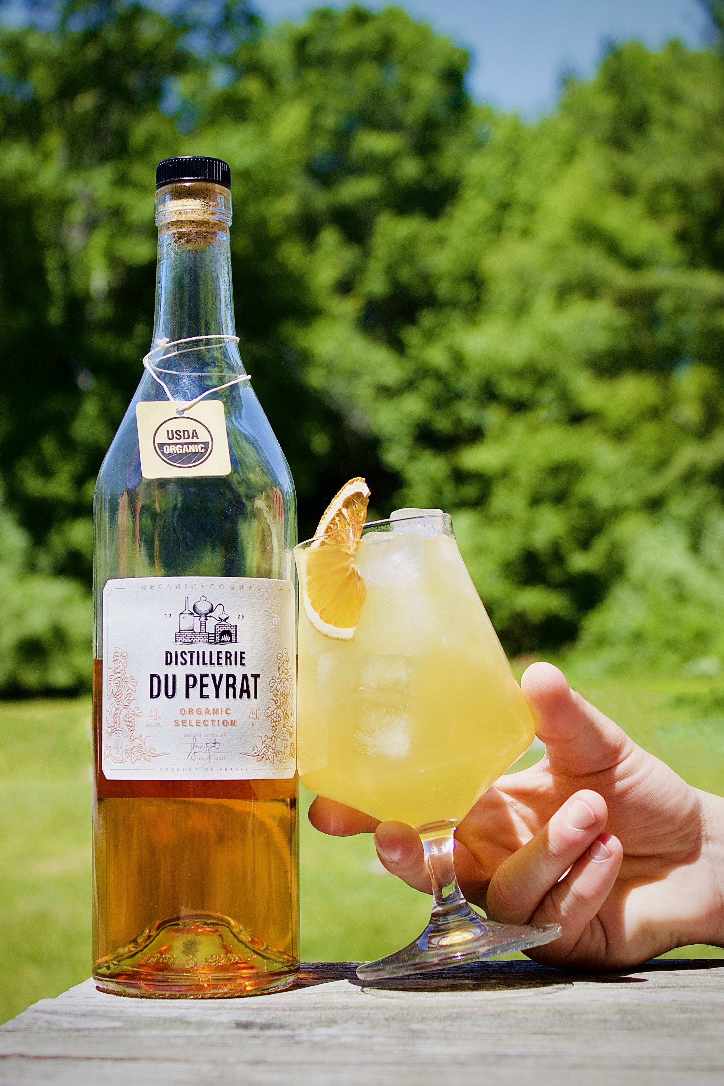 A bottle of Du Peyrat Organic Selection Cognac with a footed cocktail glass full of sunny yellow cocktail with ice and a dried orange garnish cradled in a hand leaning against it.