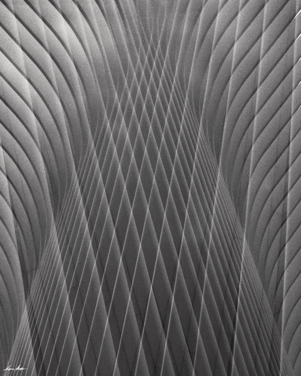 DELTA 3200_10 16x20 Large.jpeg