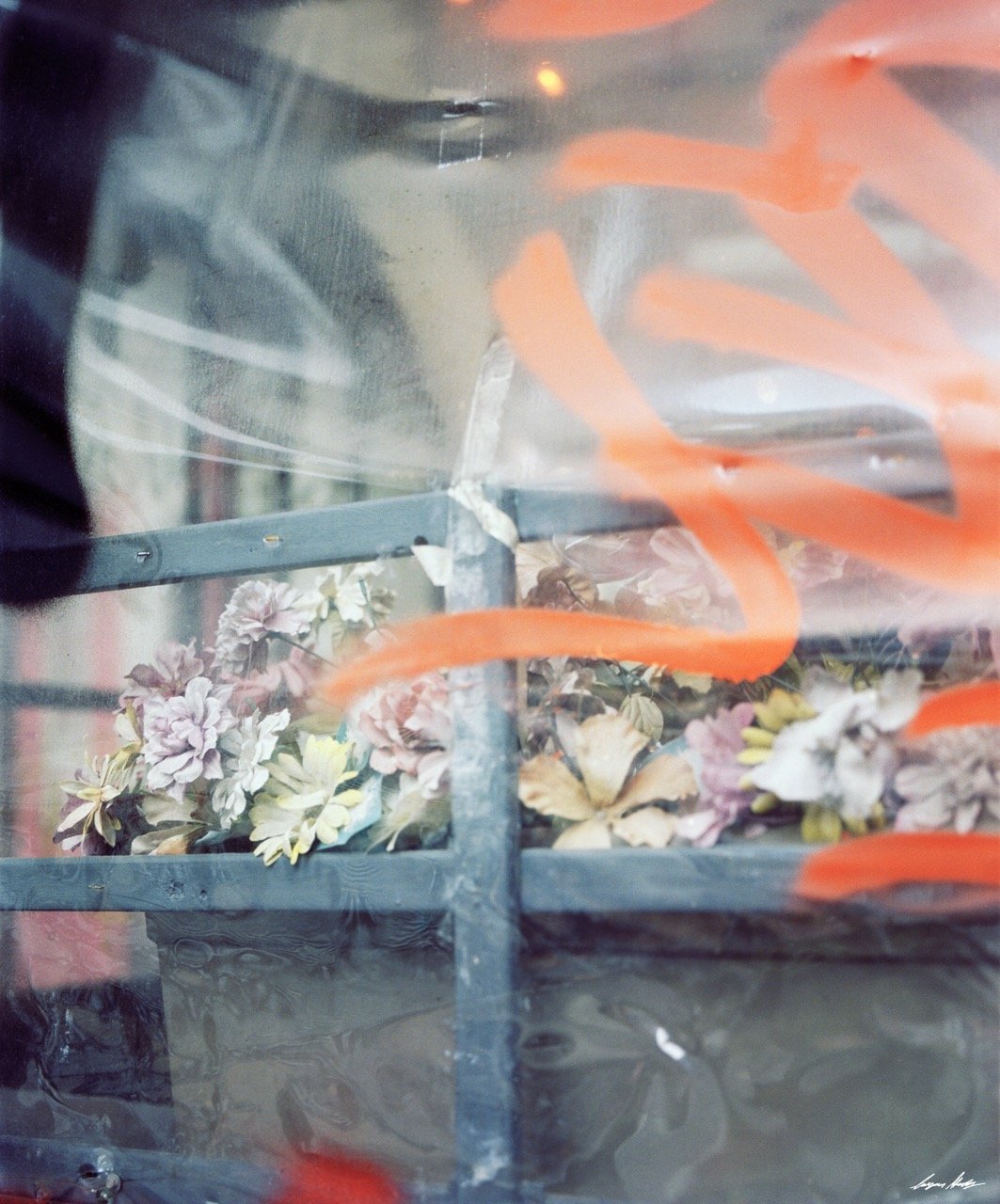 PORTRA 800_10 copy Large.jpeg