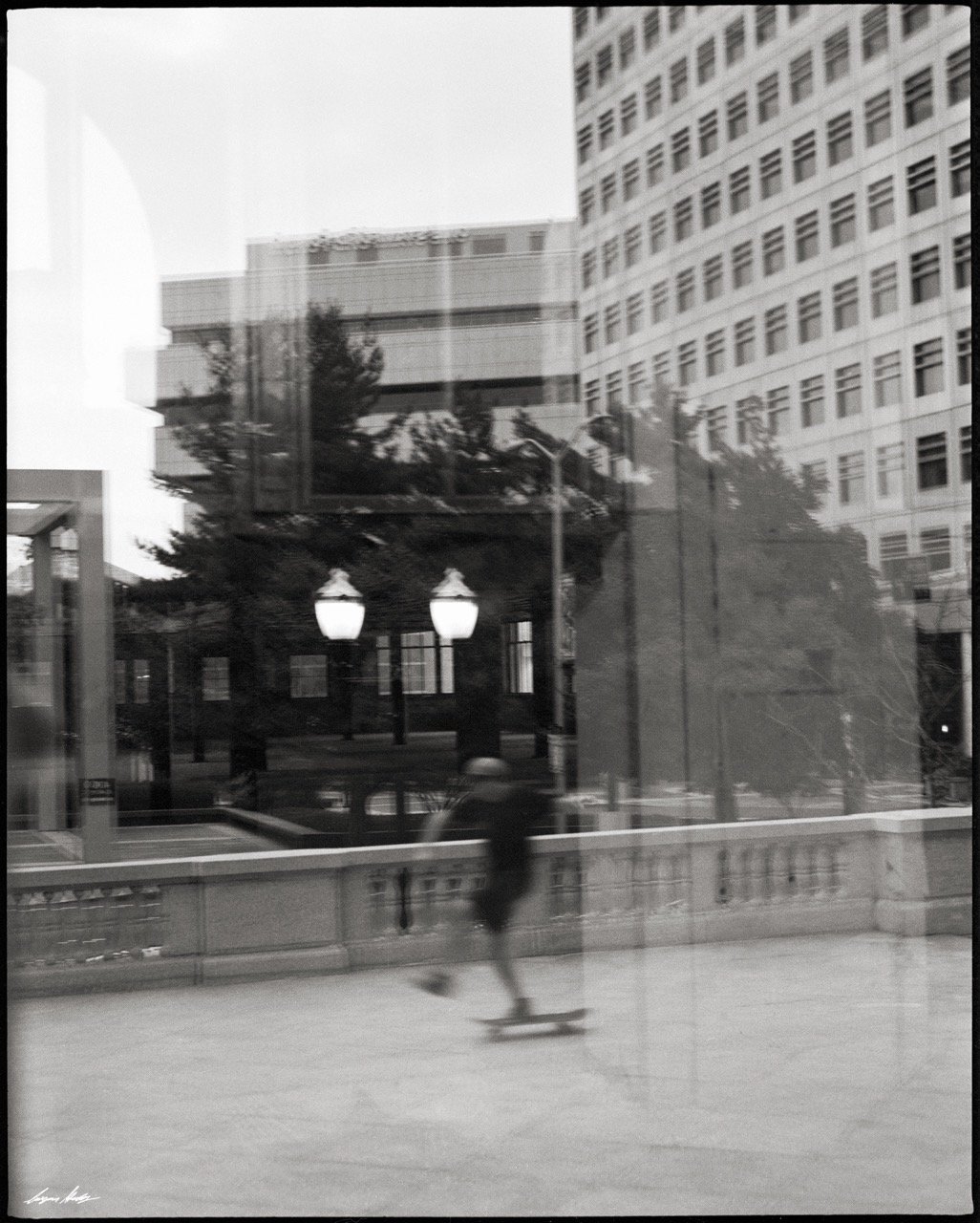 HP5_1 copy Large.jpeg