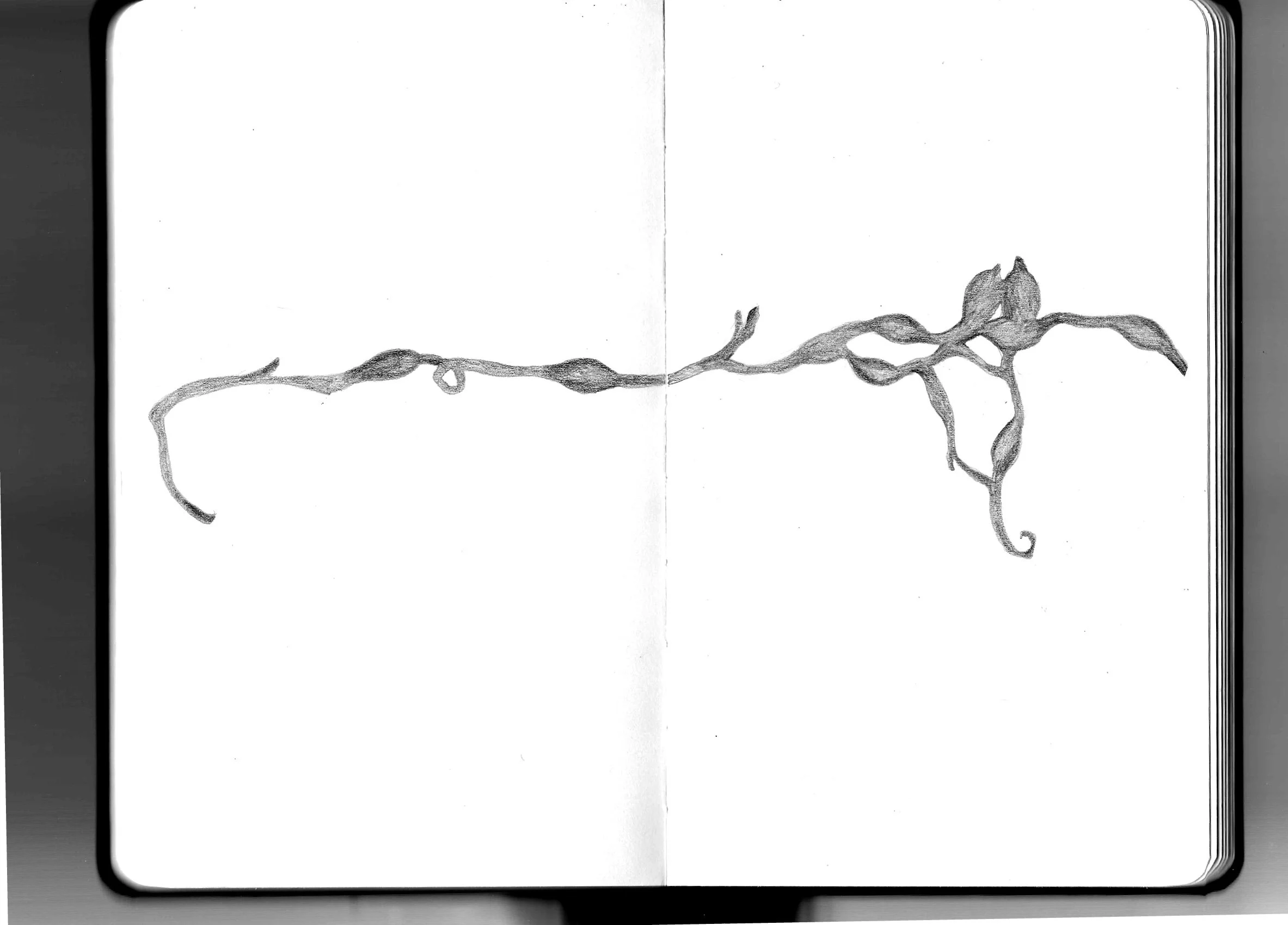 Untitled_Artwork 35.jpg