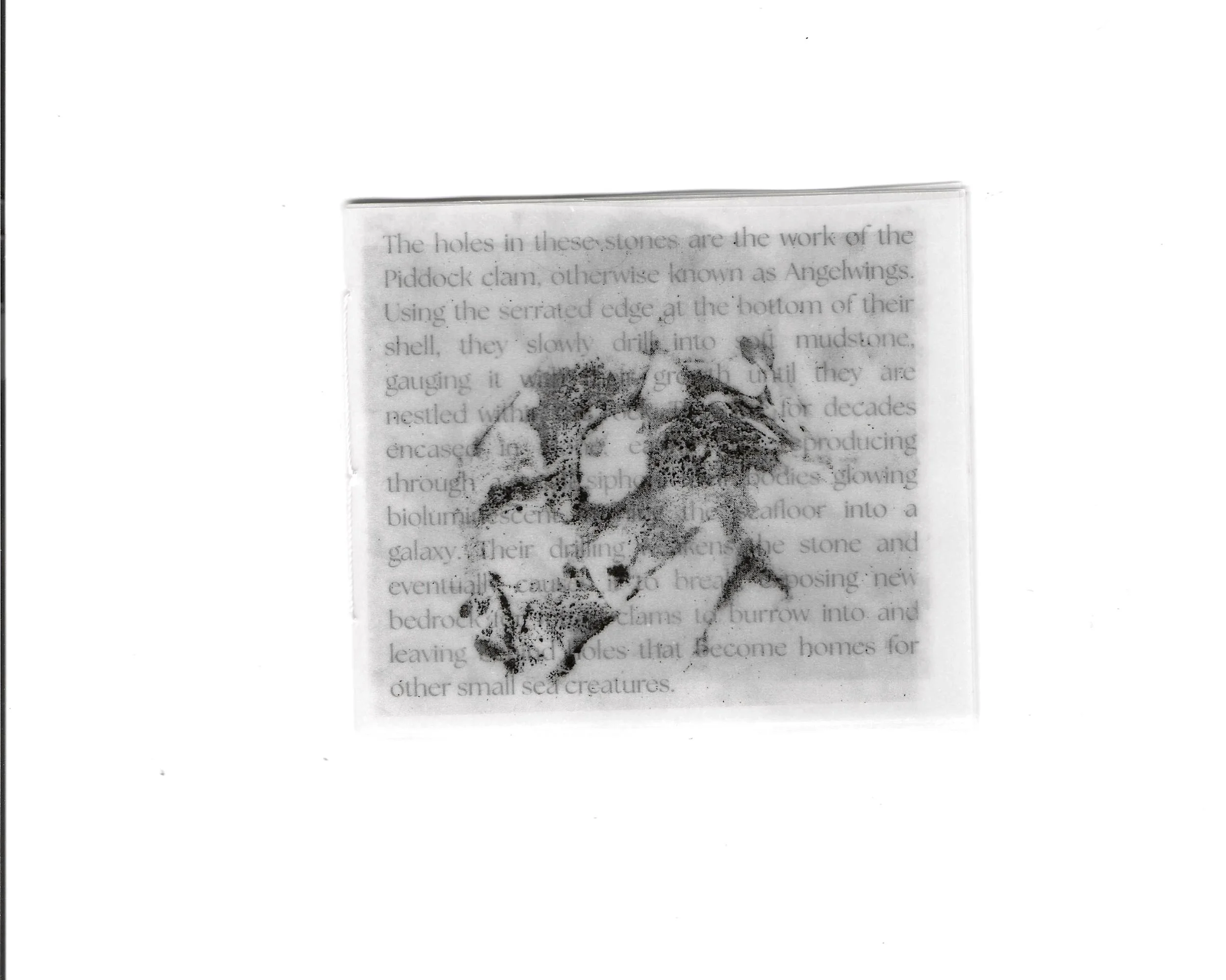 Angelwings zine scans.jpg