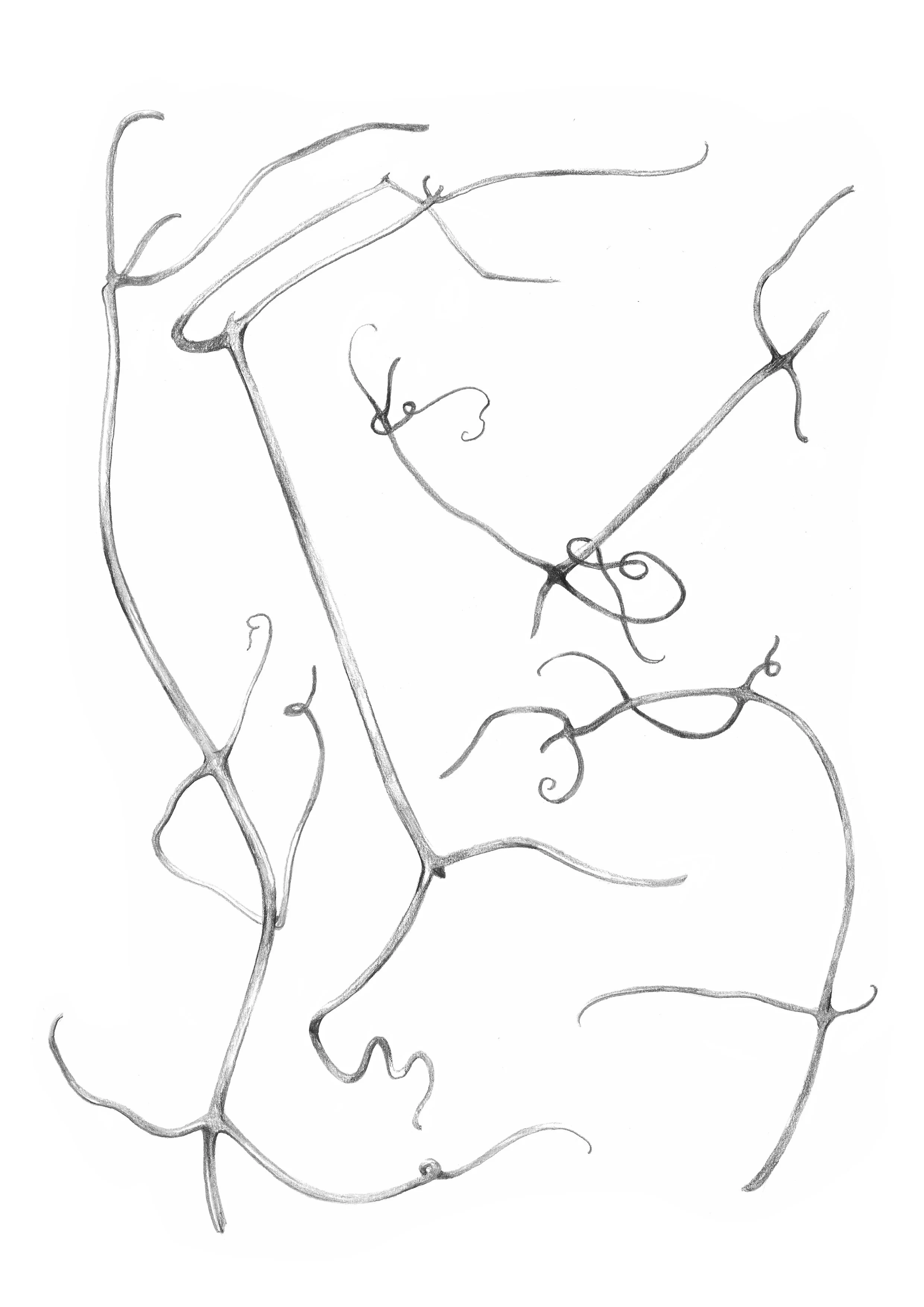 Untitled_Artwork 1.jpg
