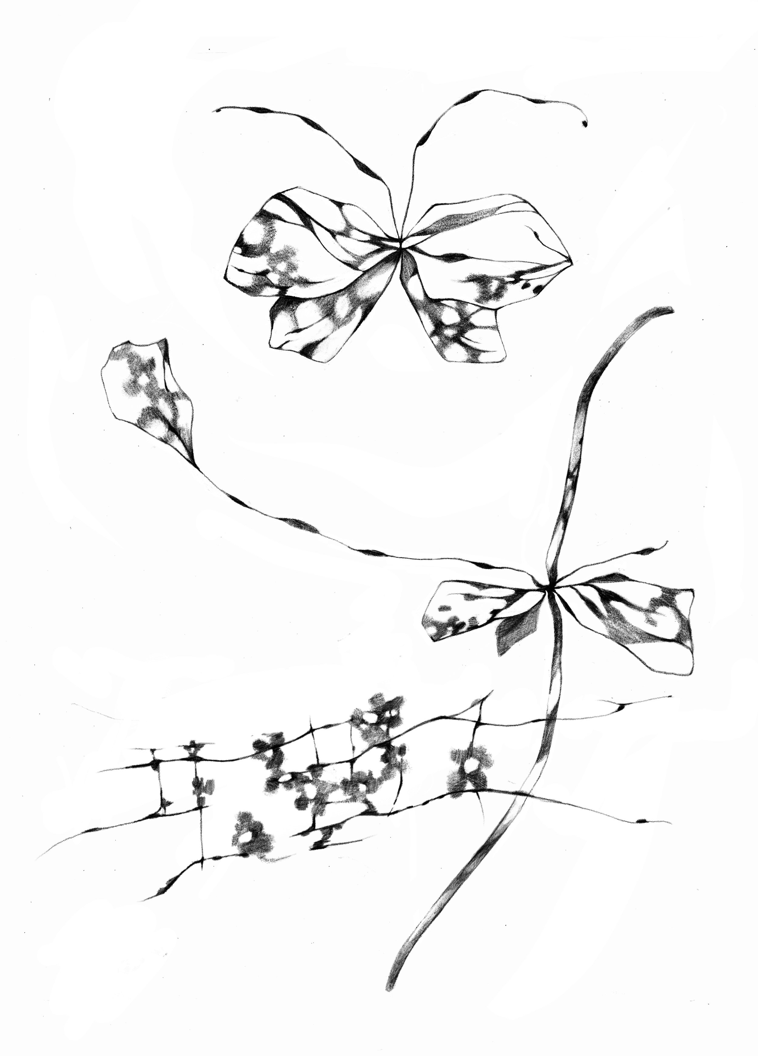 Untitled_Artwork 103.jpg