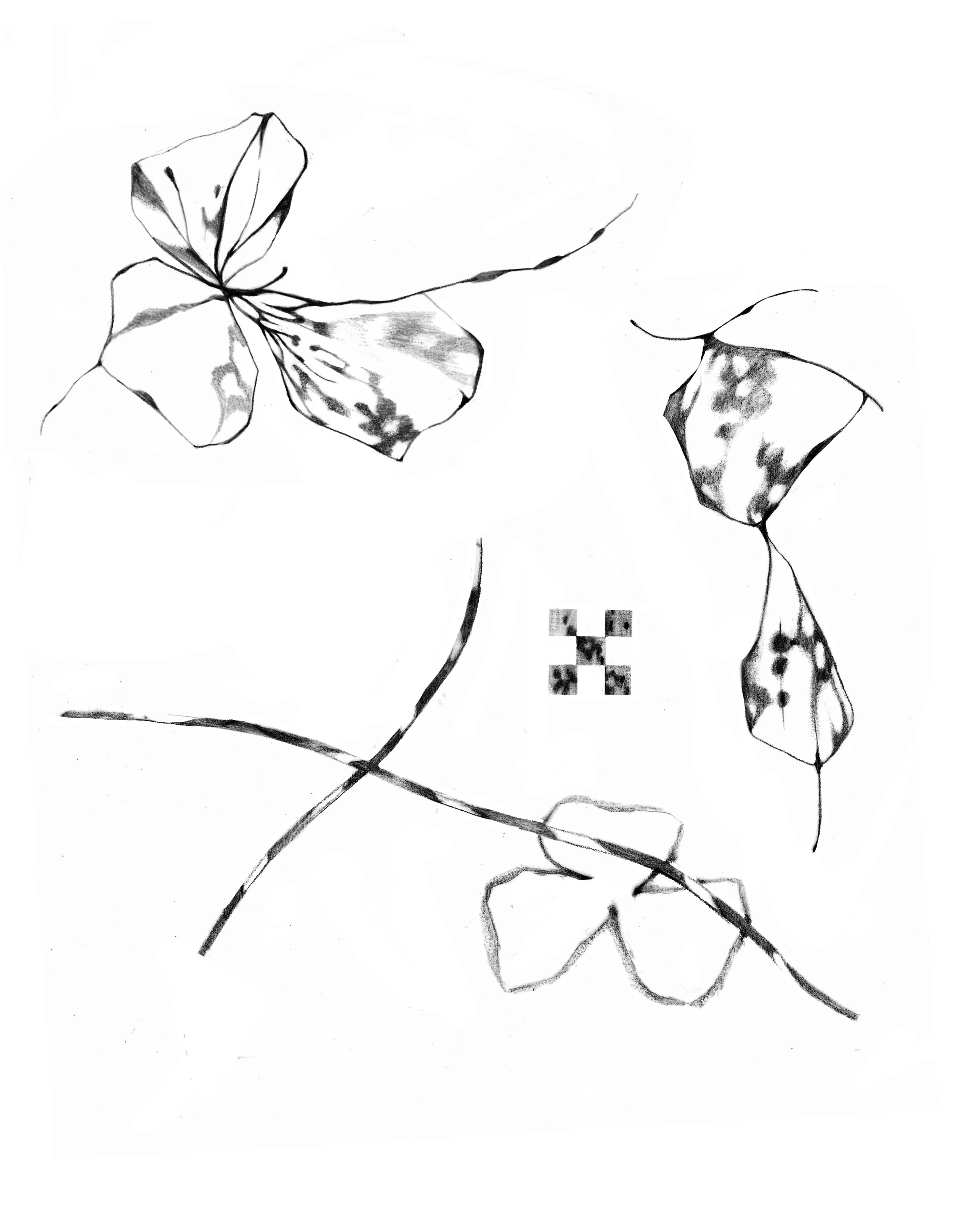 Untitled_Artwork 113.JPG