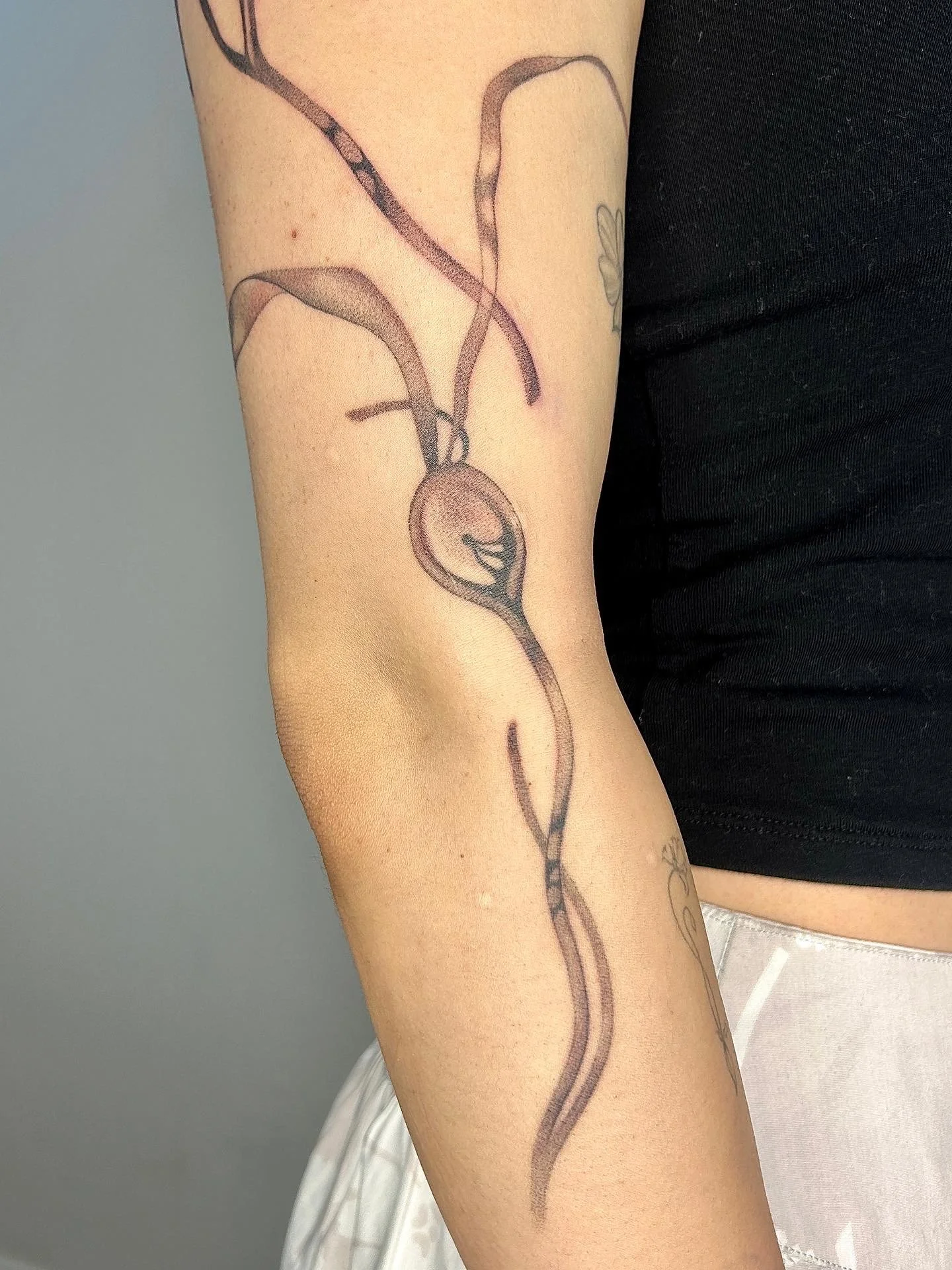 large scale kelp piece 2