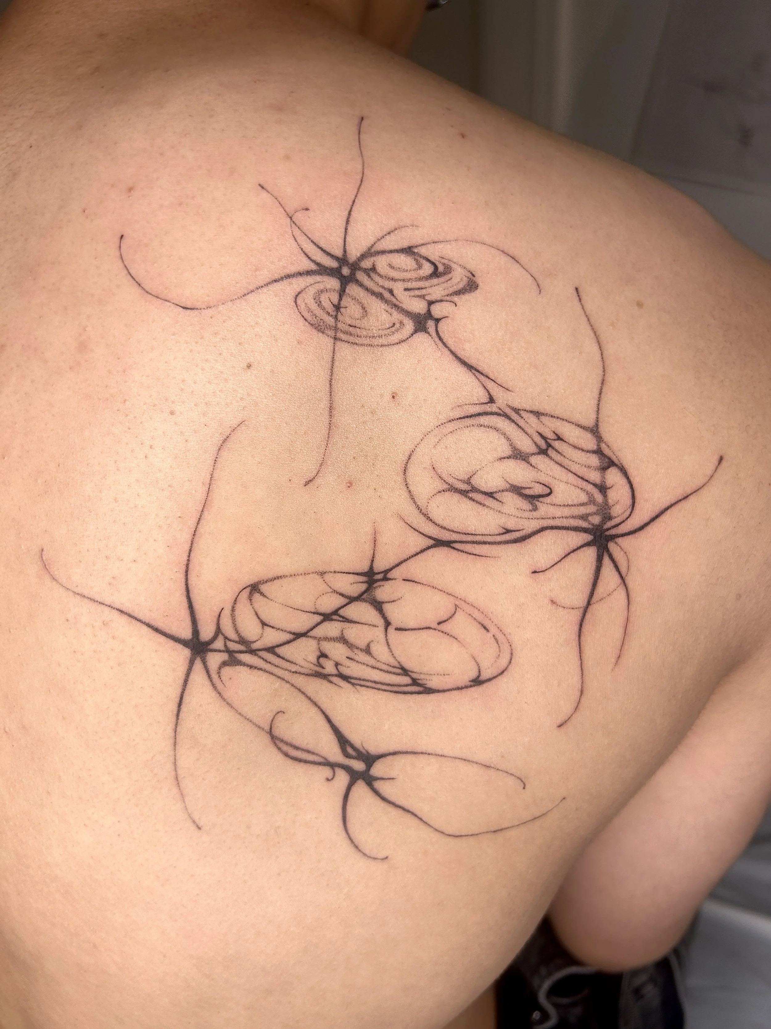 rock skipping sun glimmers