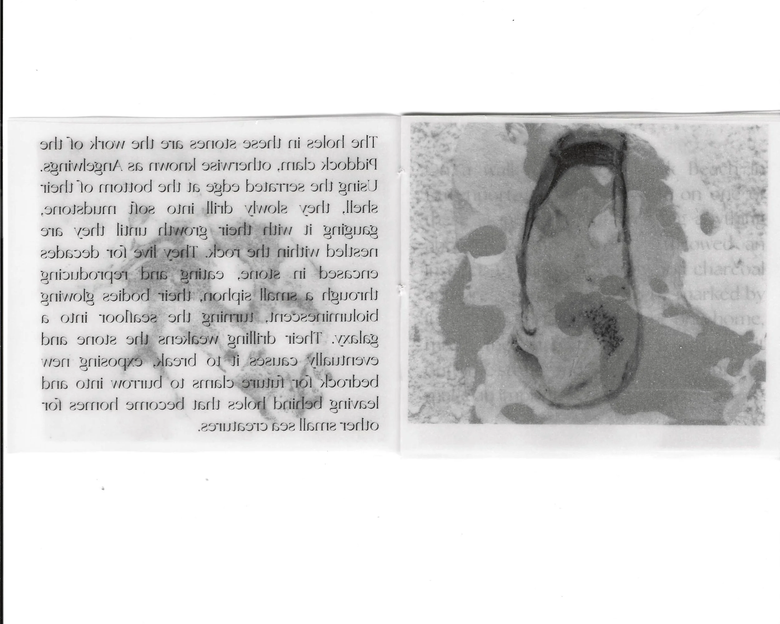 Angelwings zine scans_2.jpg