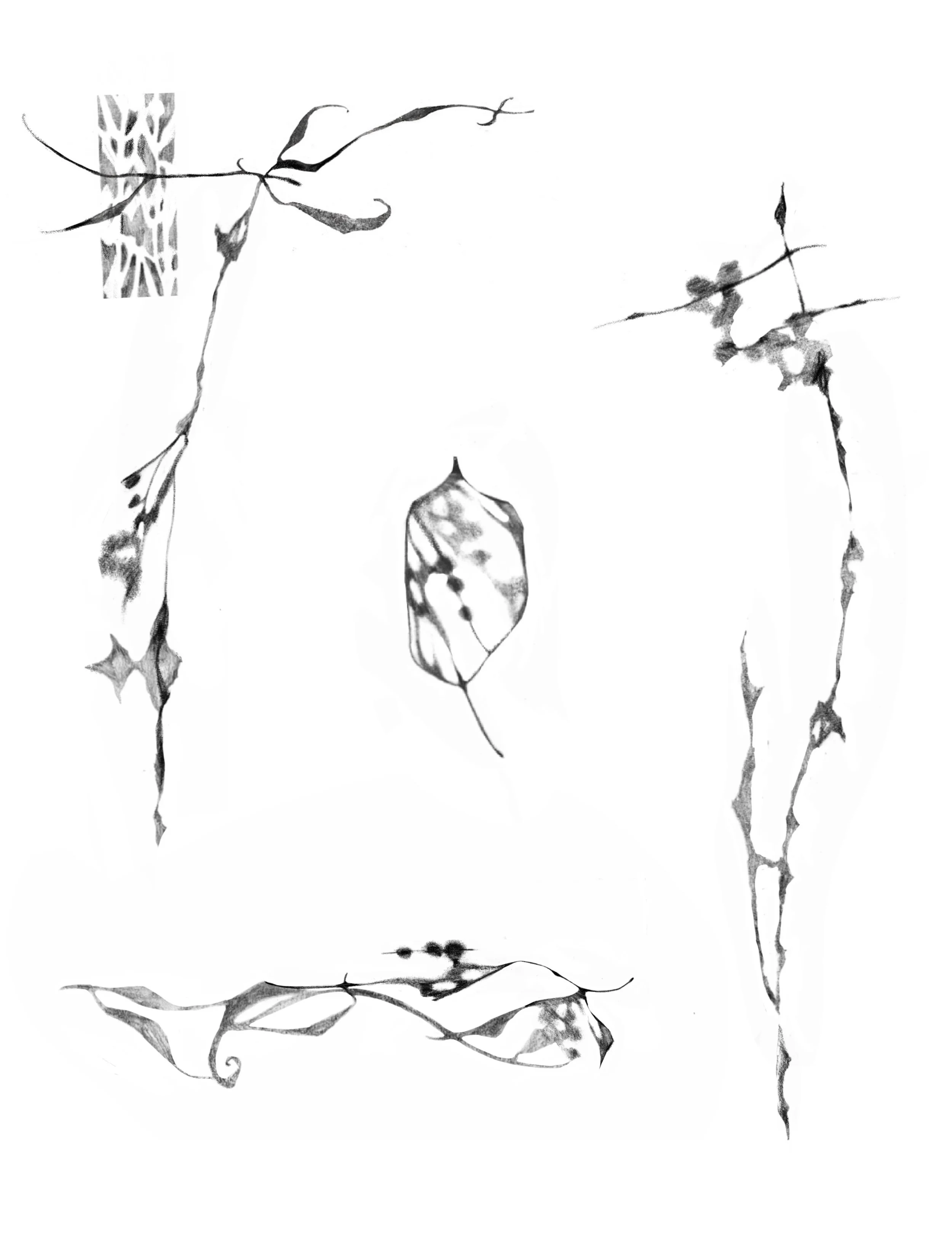 Untitled_Artwork 137.JPG