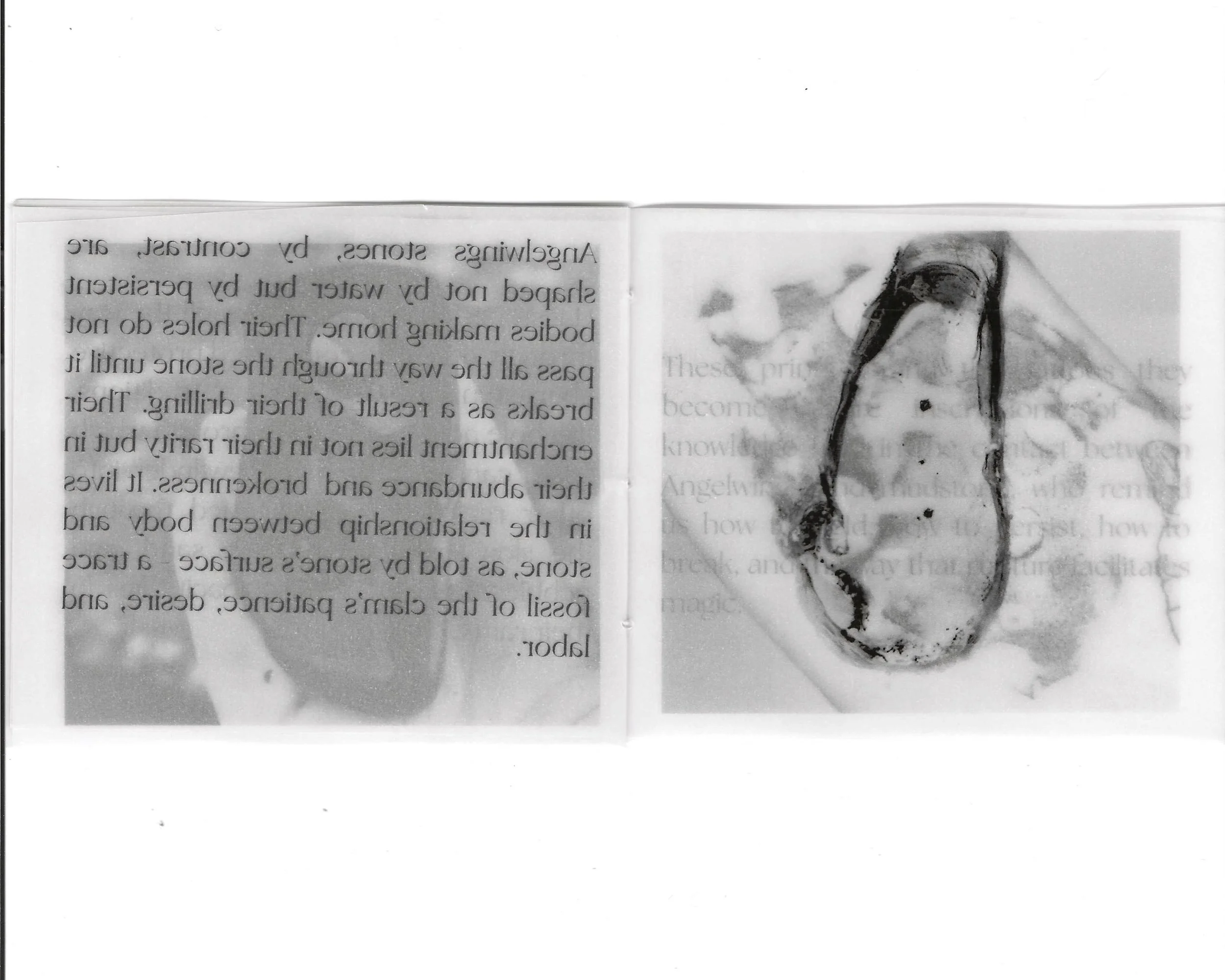 Angelwings zine scans_9.jpg