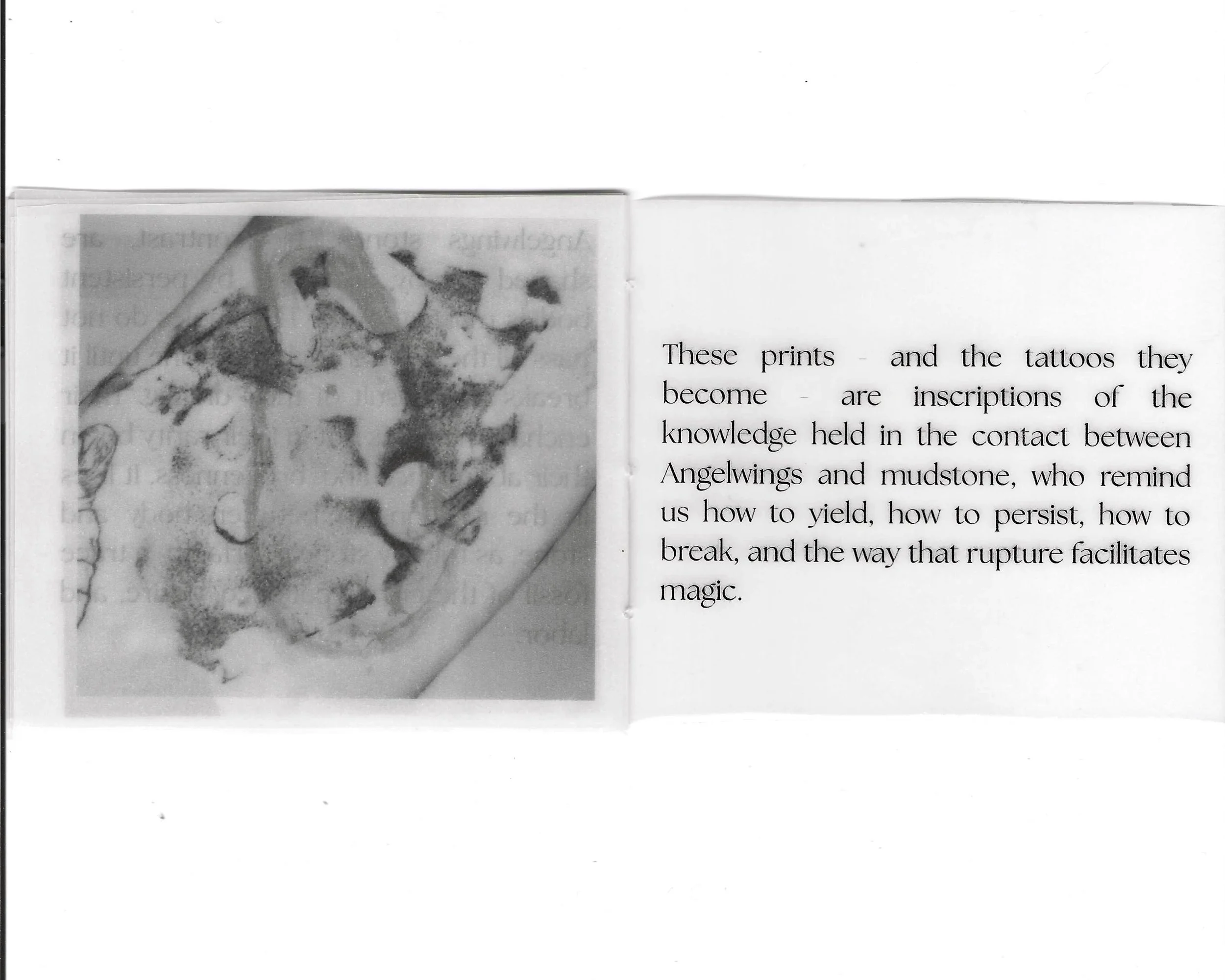 Angelwings zine scans_11.jpg