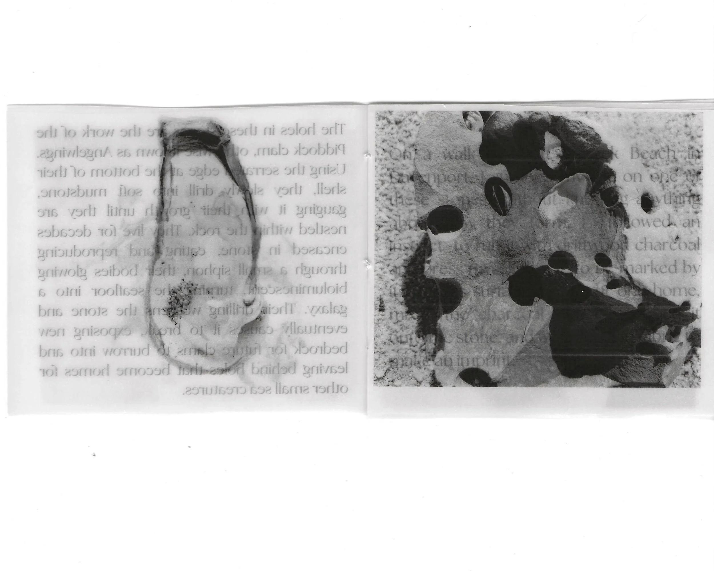 Angelwings zine scans_3.jpg