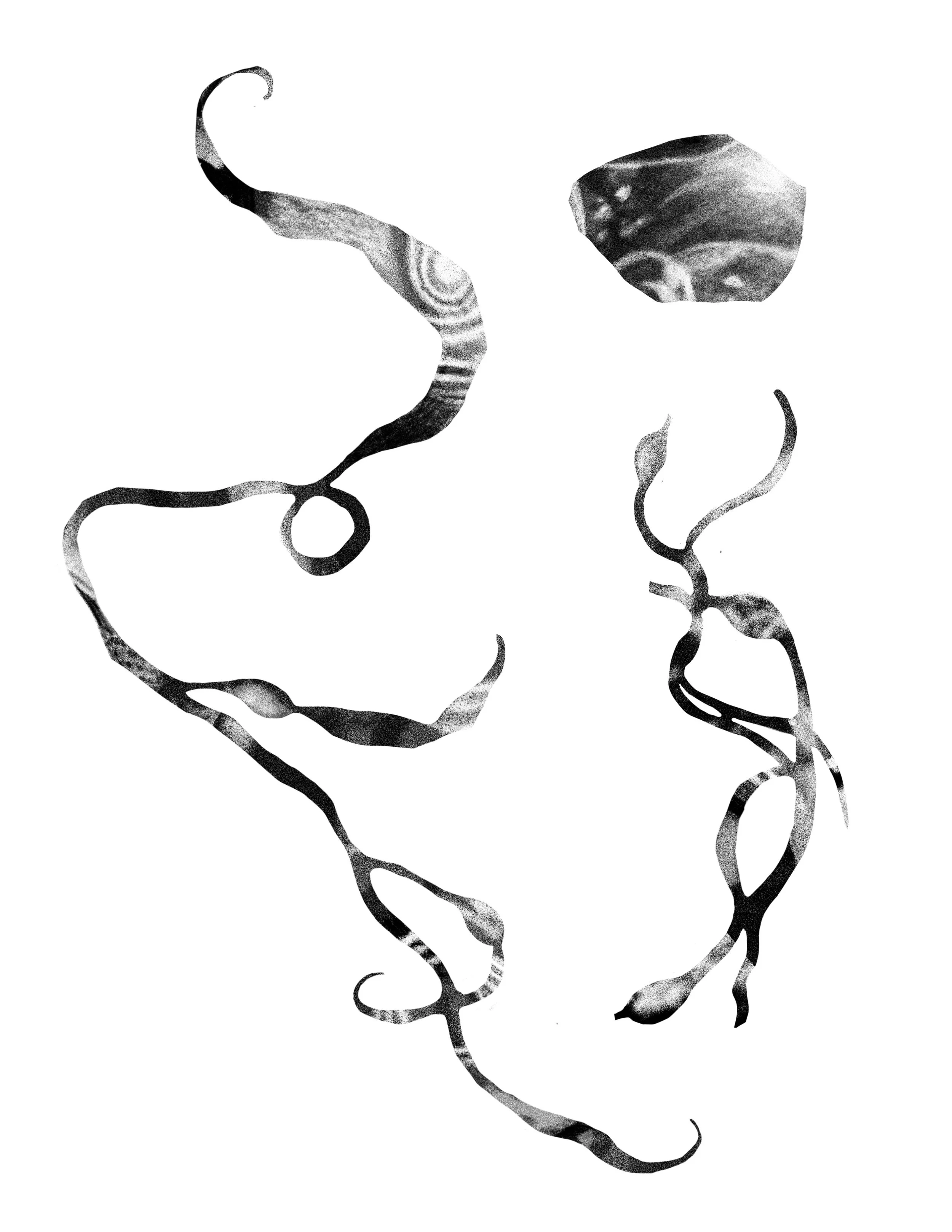 Untitled_Artwork 26.jpg