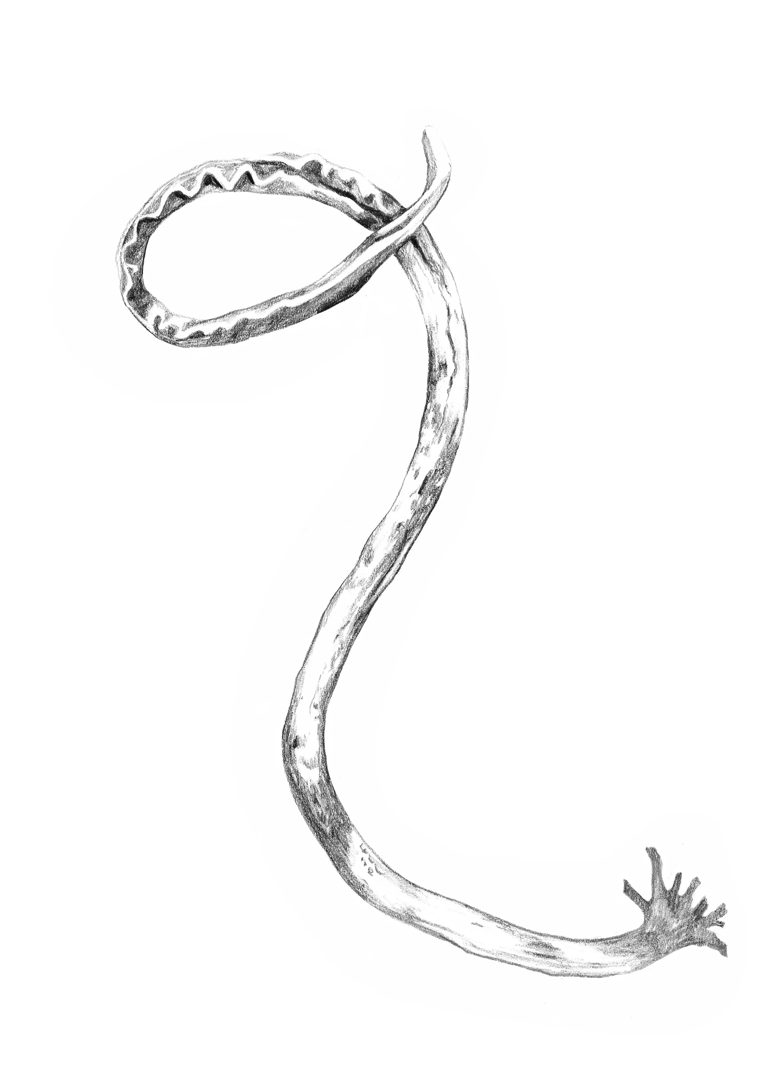 Untitled_Artwork 15.jpg