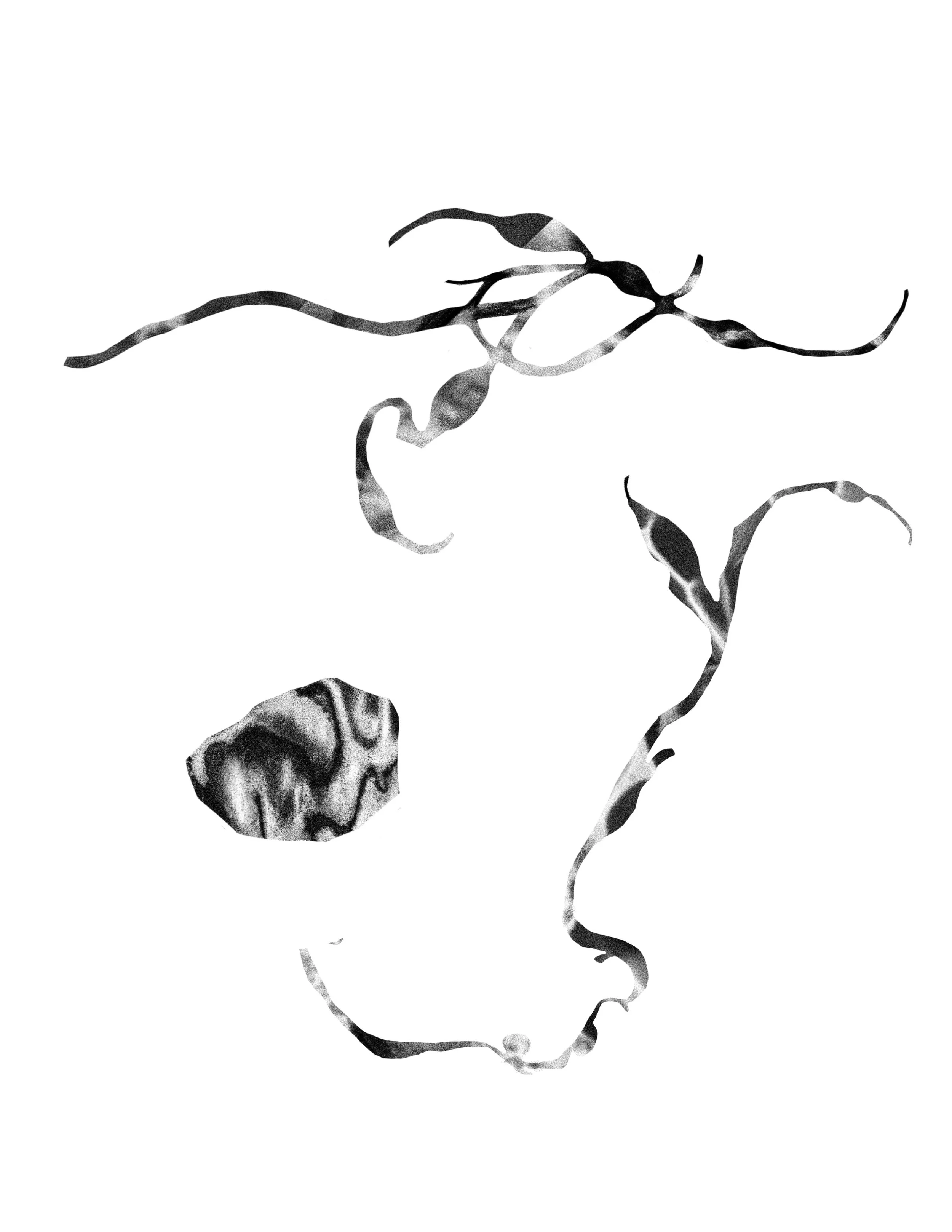 Untitled_Artwork 27.jpg