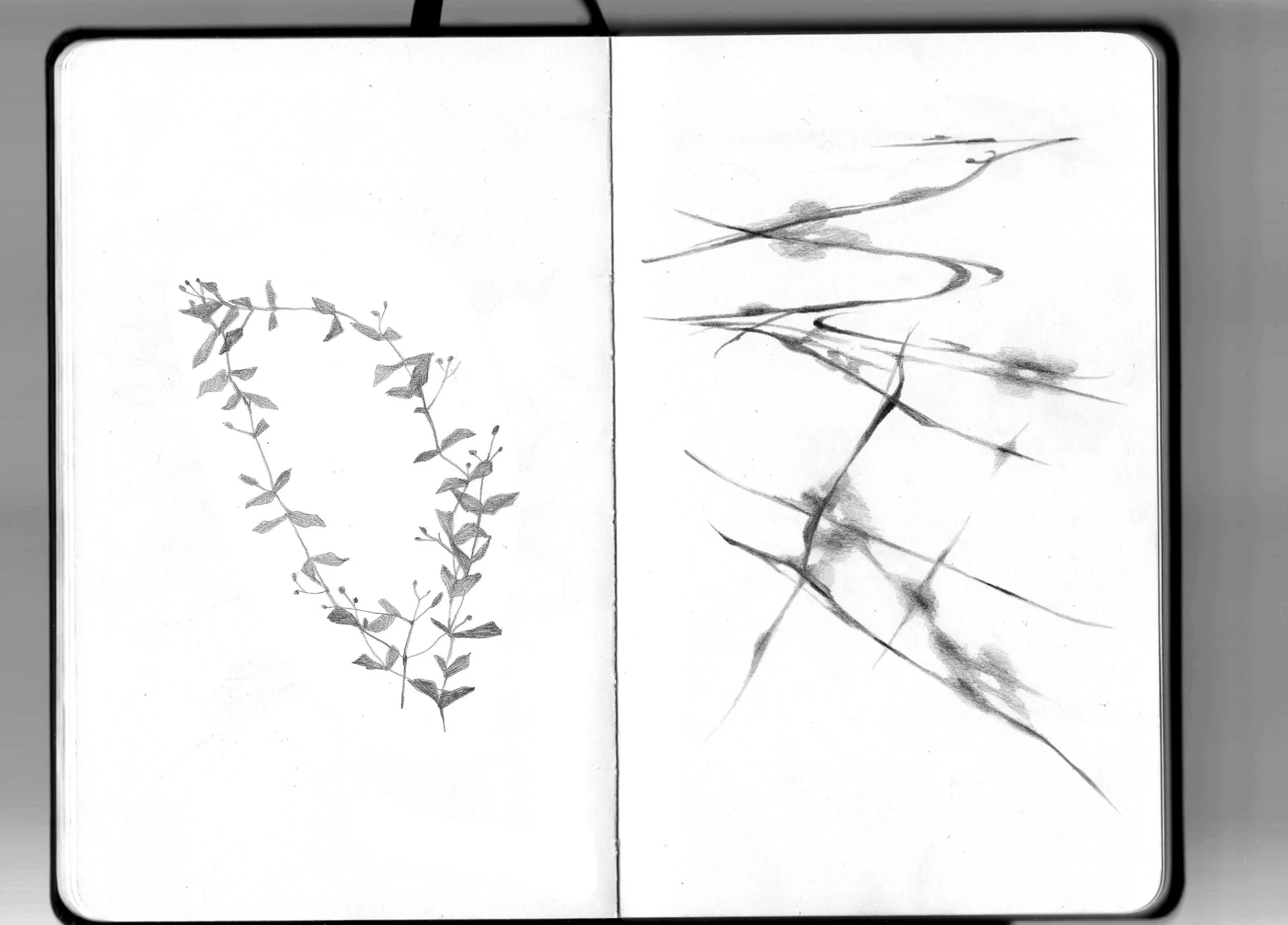 Untitled_Artwork 31.jpg