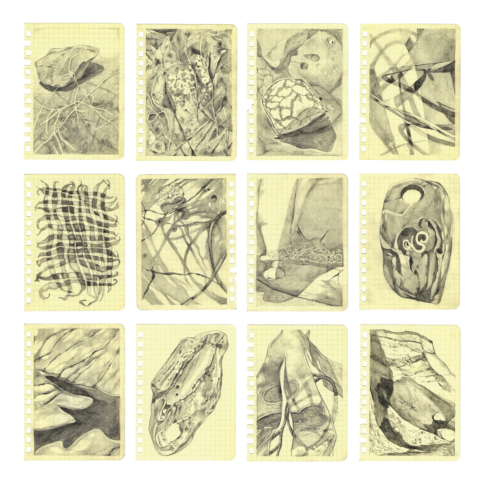 traces: 12 panel poster (14"x14")