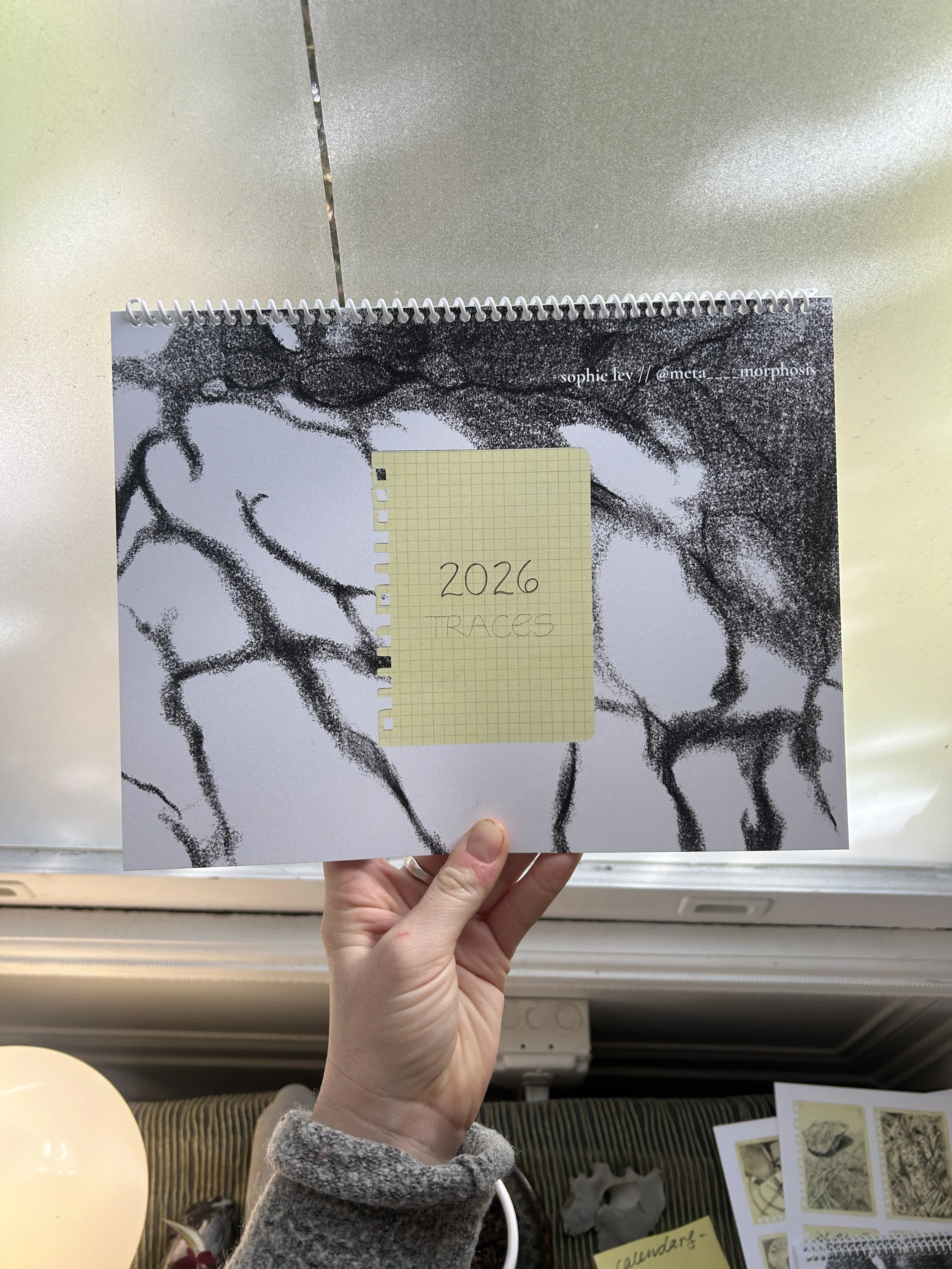 TRACES: 2026 Wall Calendar