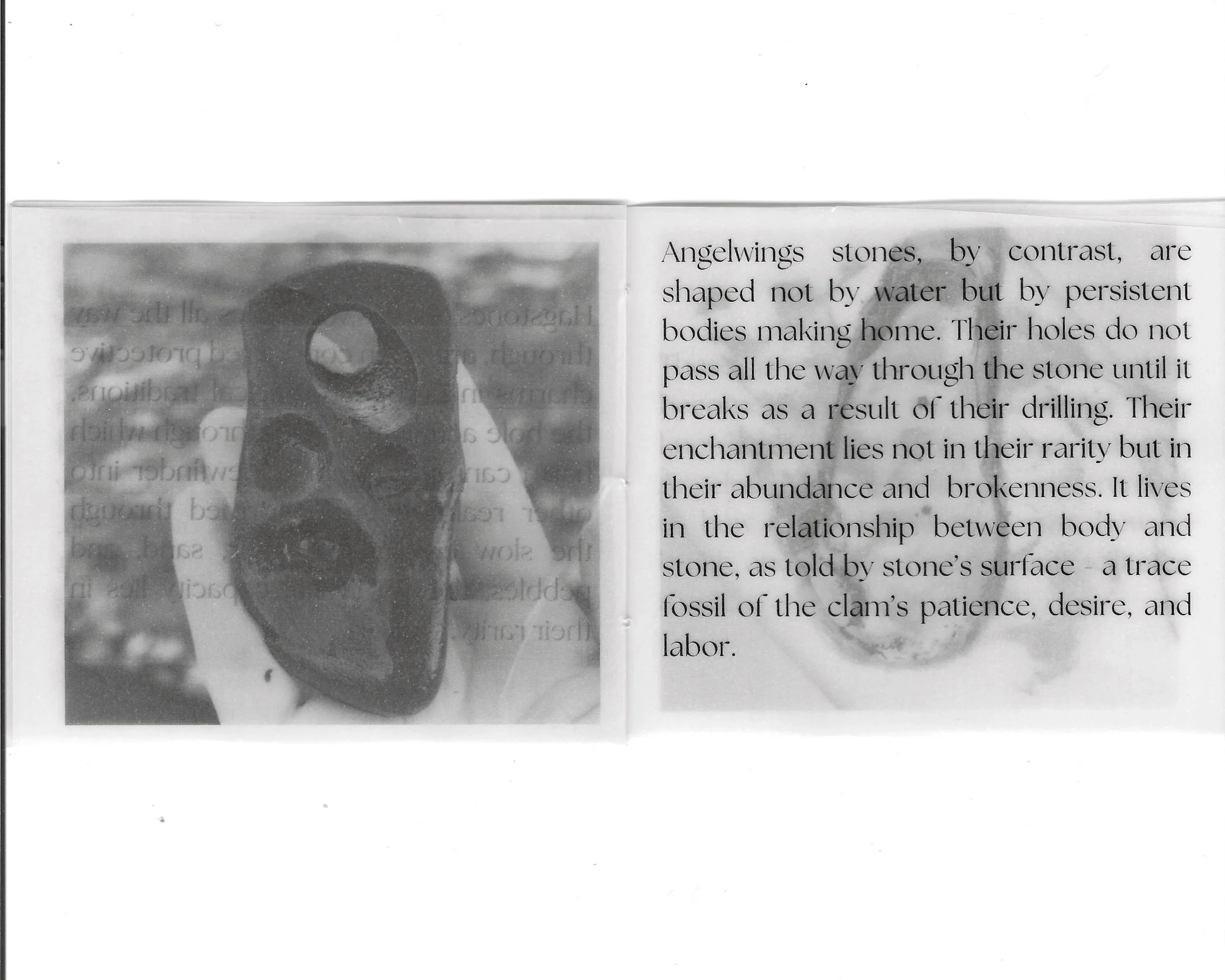 Angelwings zine scans_8.jpg