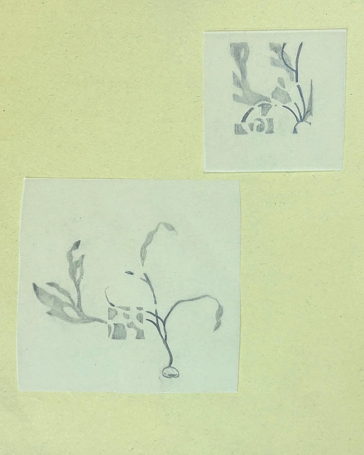 FB941173-F4AE-4003-90FA-293298475648.JPG