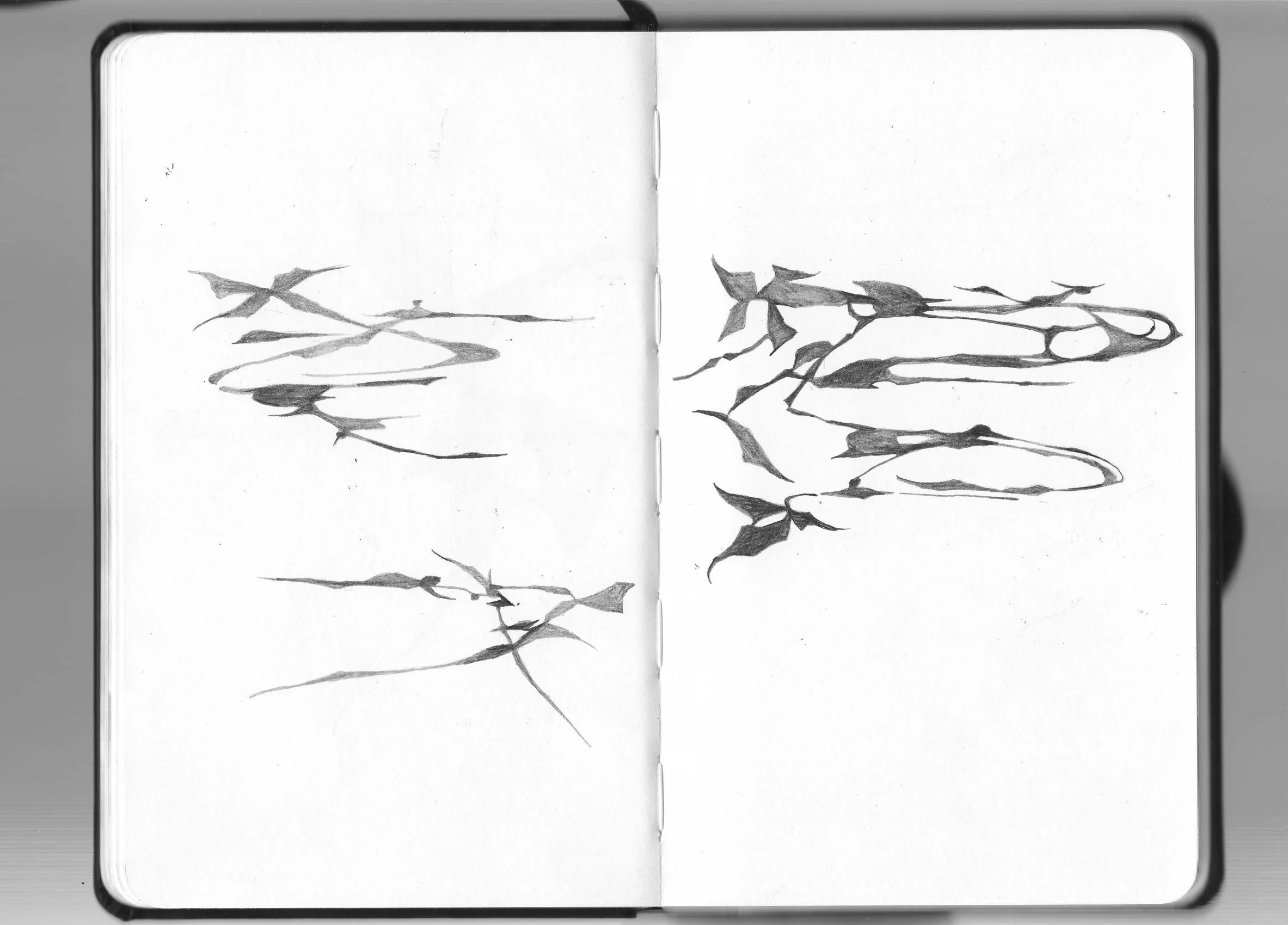 Summer 2026 drawing scans_8.jpg
