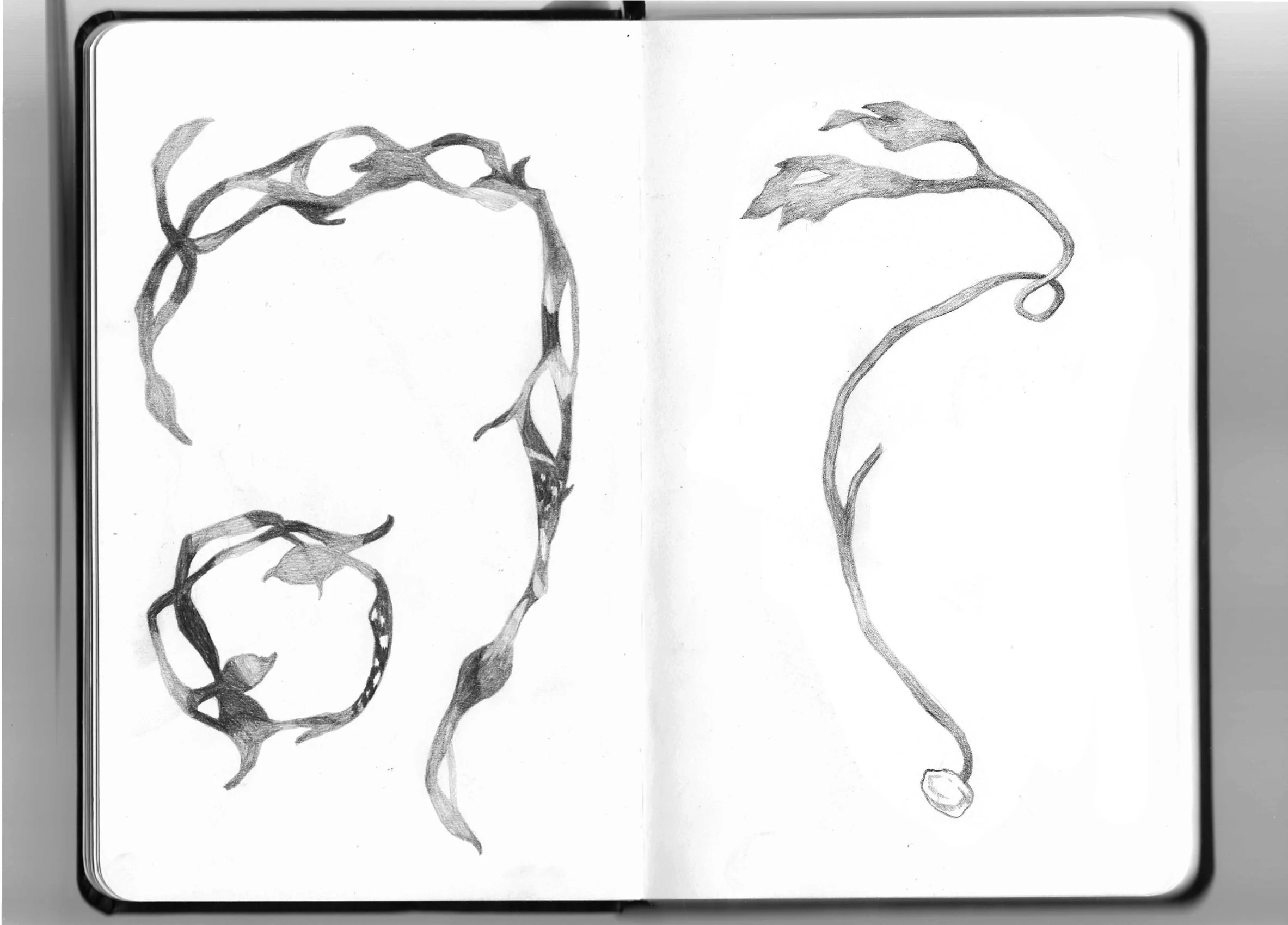 Untitled_Artwork 30.jpg