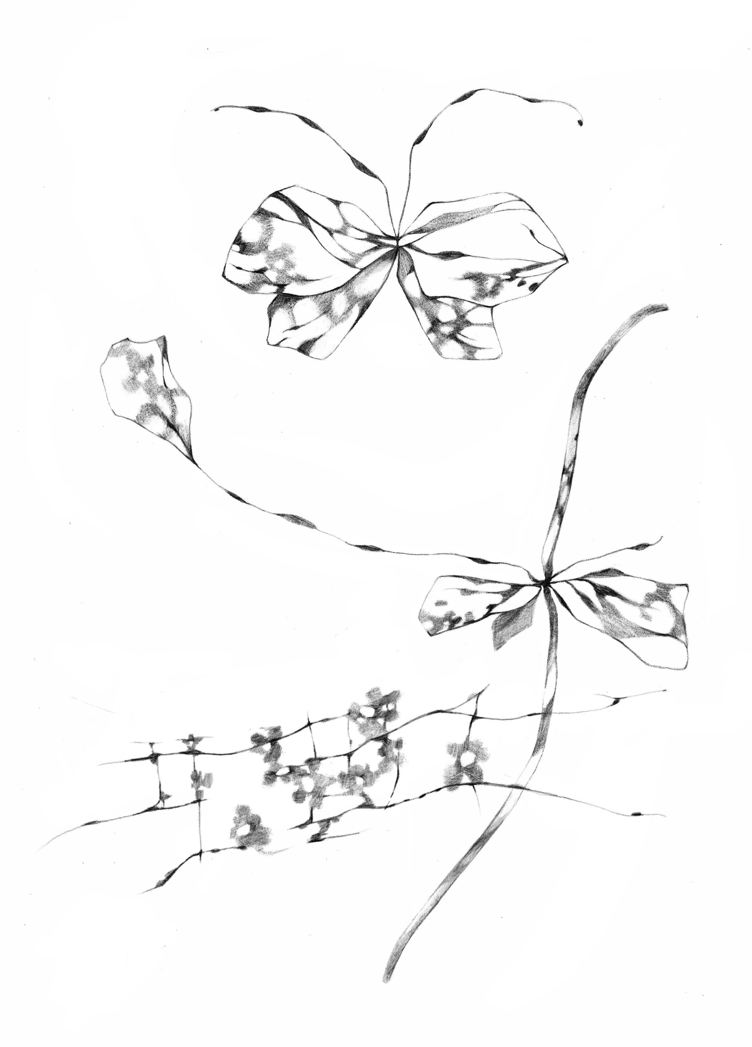 Untitled_Artwork 102.jpg