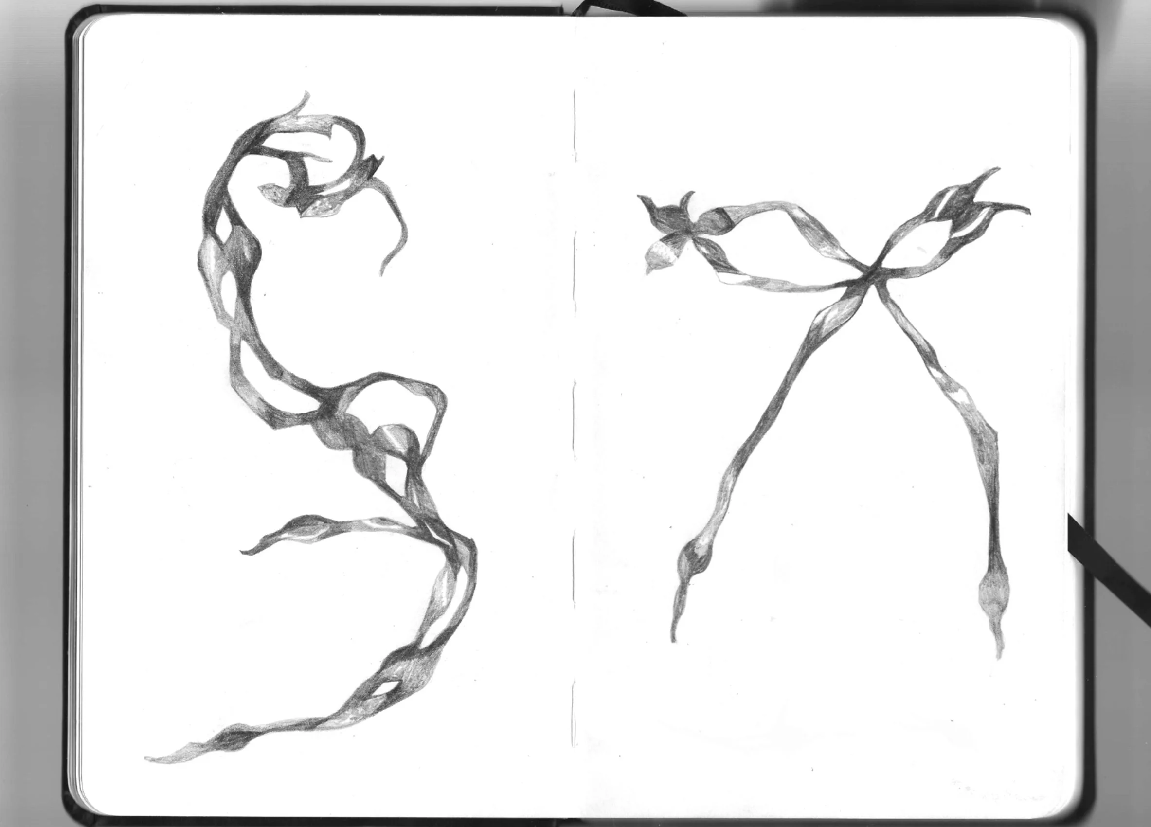 Untitled_Artwork 33.jpg