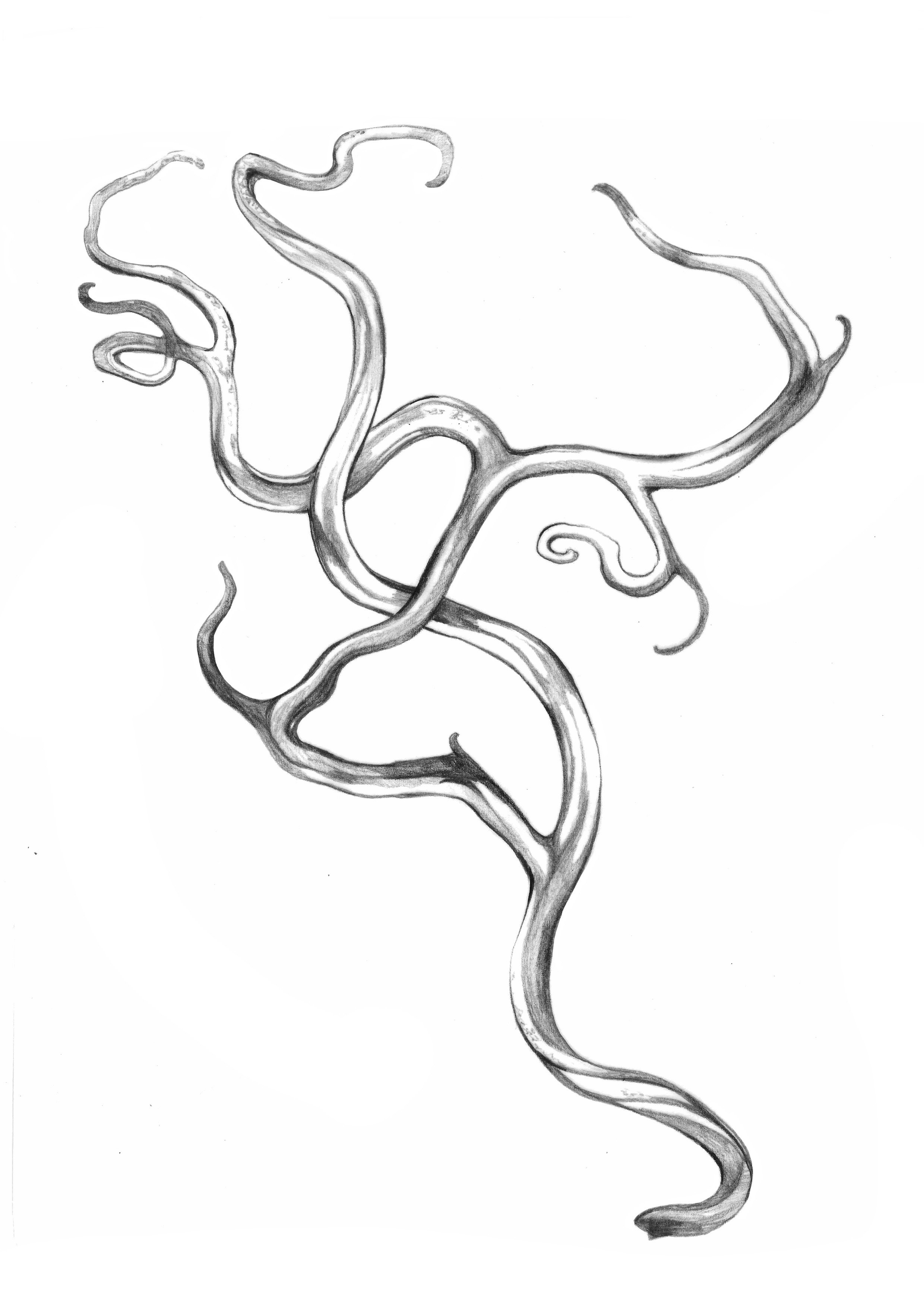 Untitled_Artwork 135.JPG