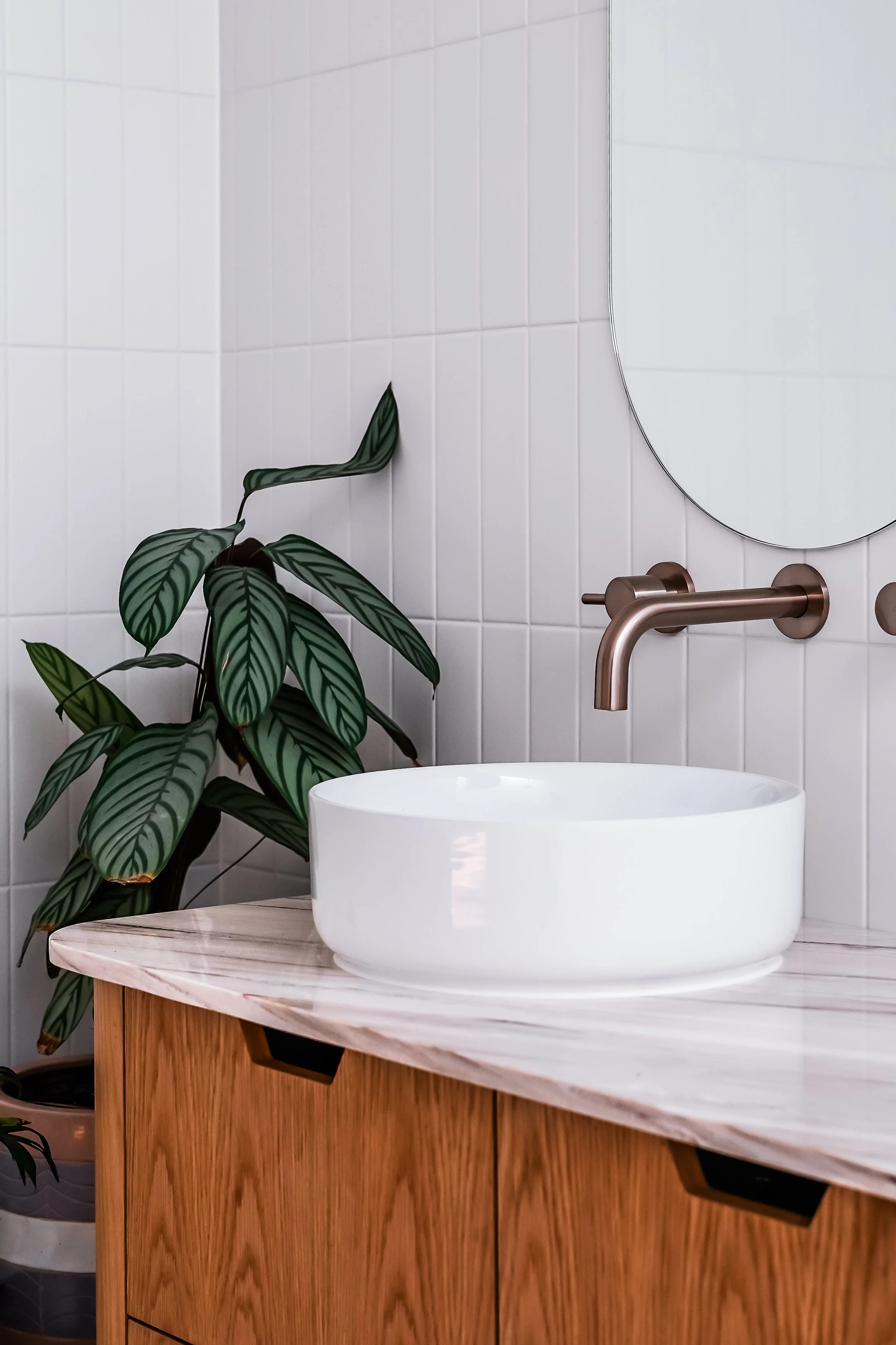 white lavatory, white tiles, mirror, plant and faucet