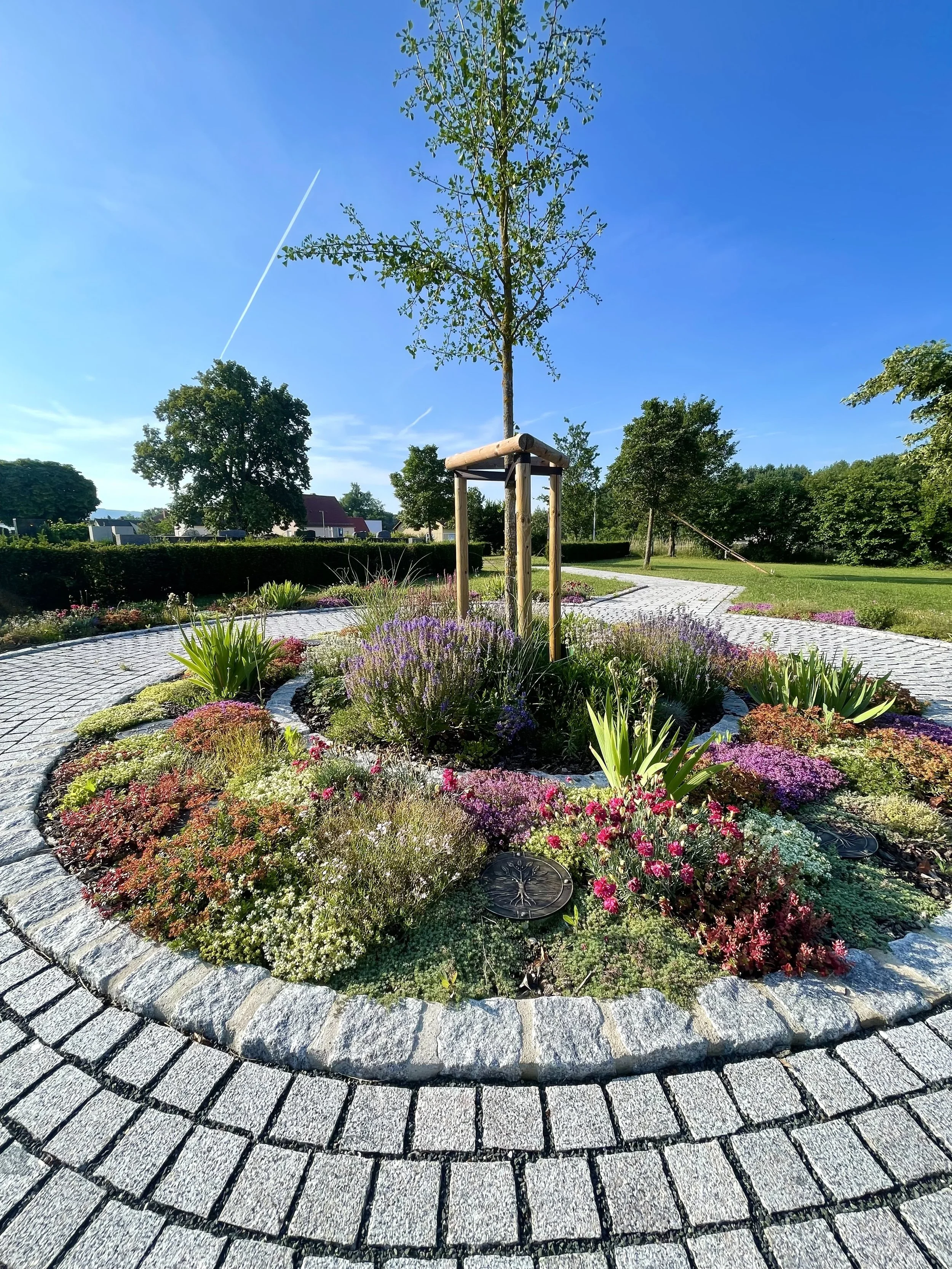 Friedhof Amlingstadt Baumbestattung aktuell.jpg