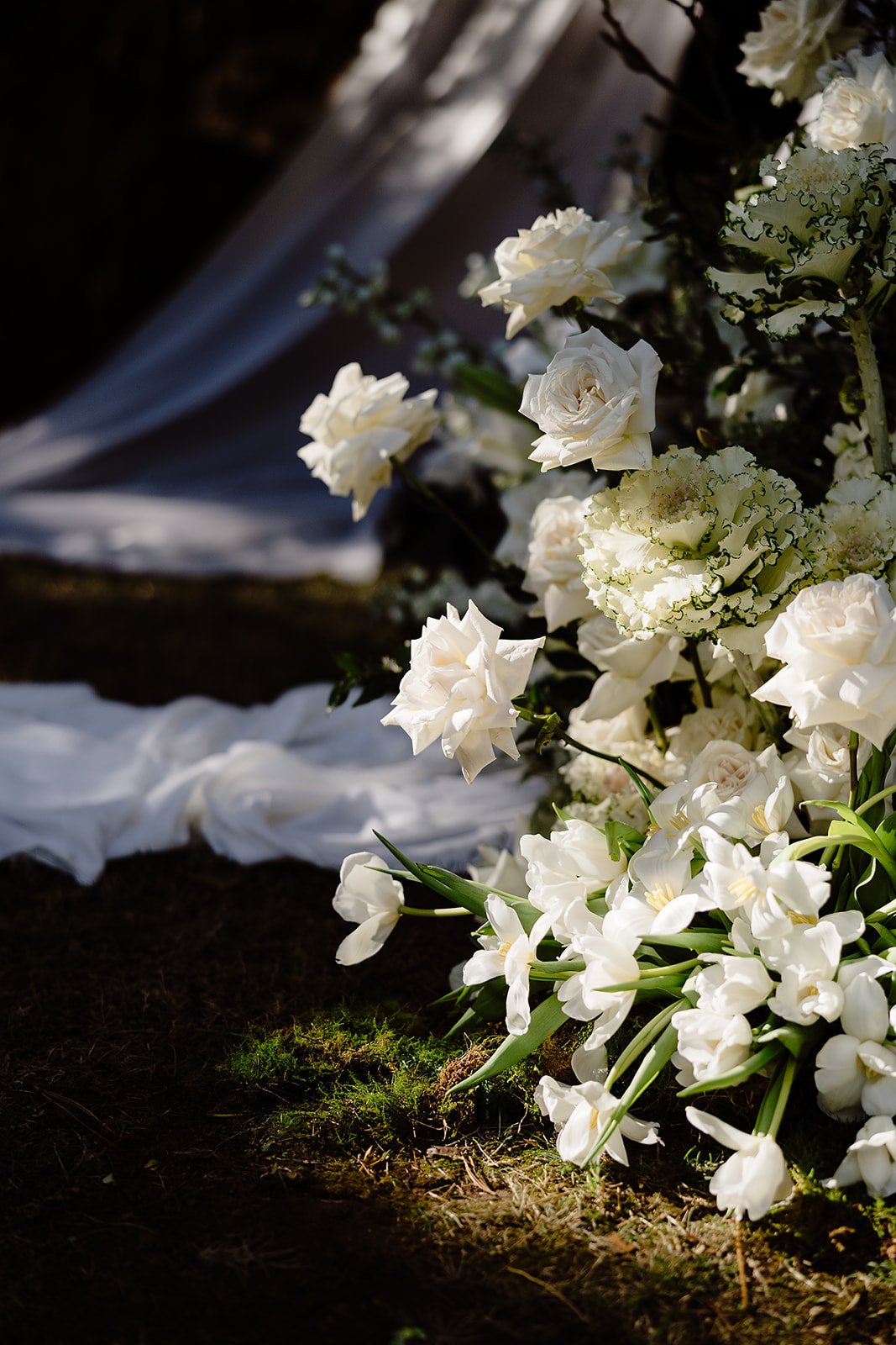 Ashleigh Haase Photography-7.jpg