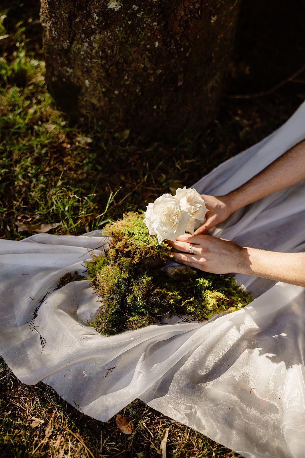 Ashleigh Haase Photography-23.jpg