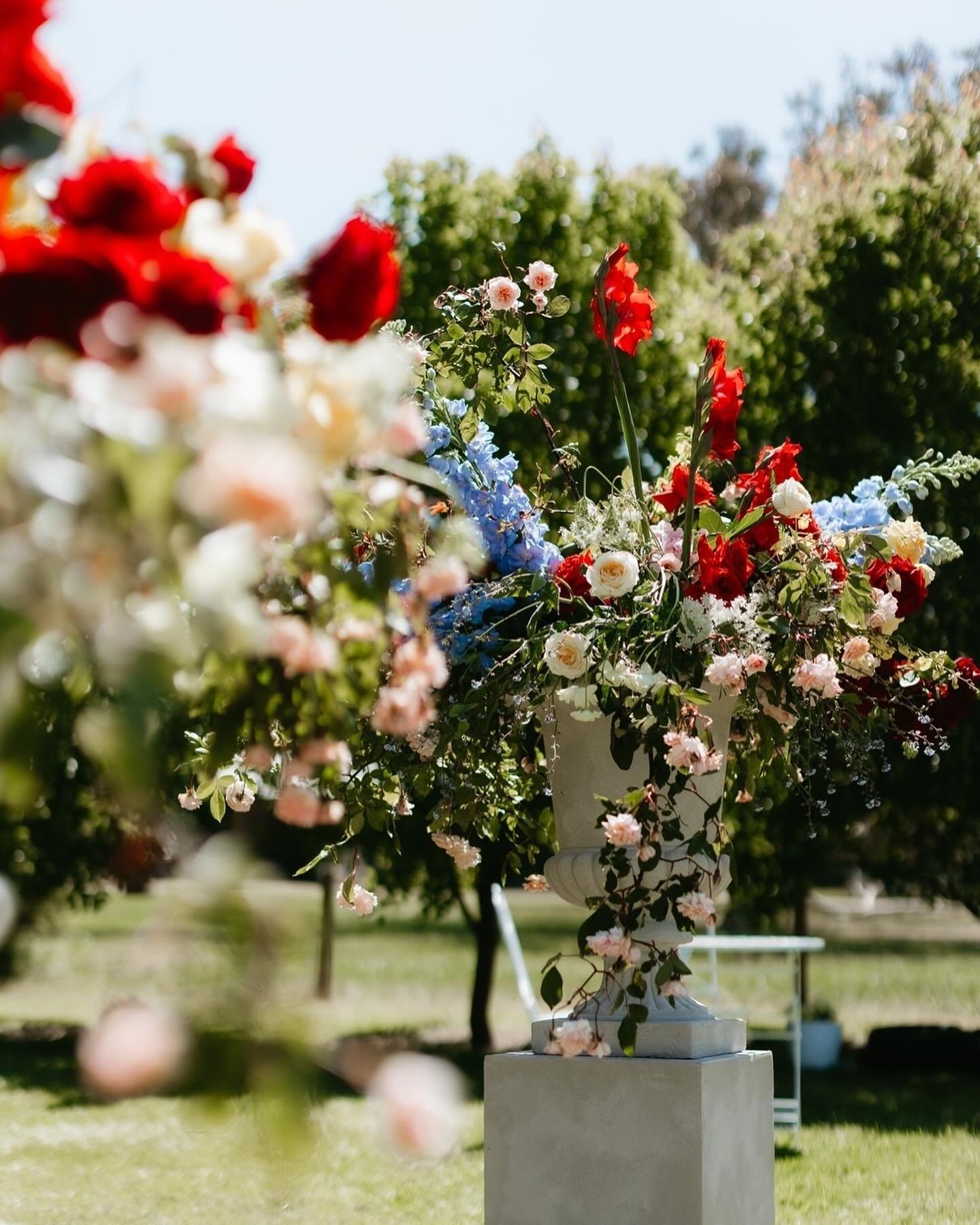 Beautiful reds, soft blues, whispers of white and peachy pinks, all nested on a beautiful orchard farm. Amore! 
⠀⠀⠀⠀⠀⠀⠀⠀⠀
Drawing on rich hues symbolic to Italian cooking, intentional designs that make us think of Nonna, and of course enough Parmesan